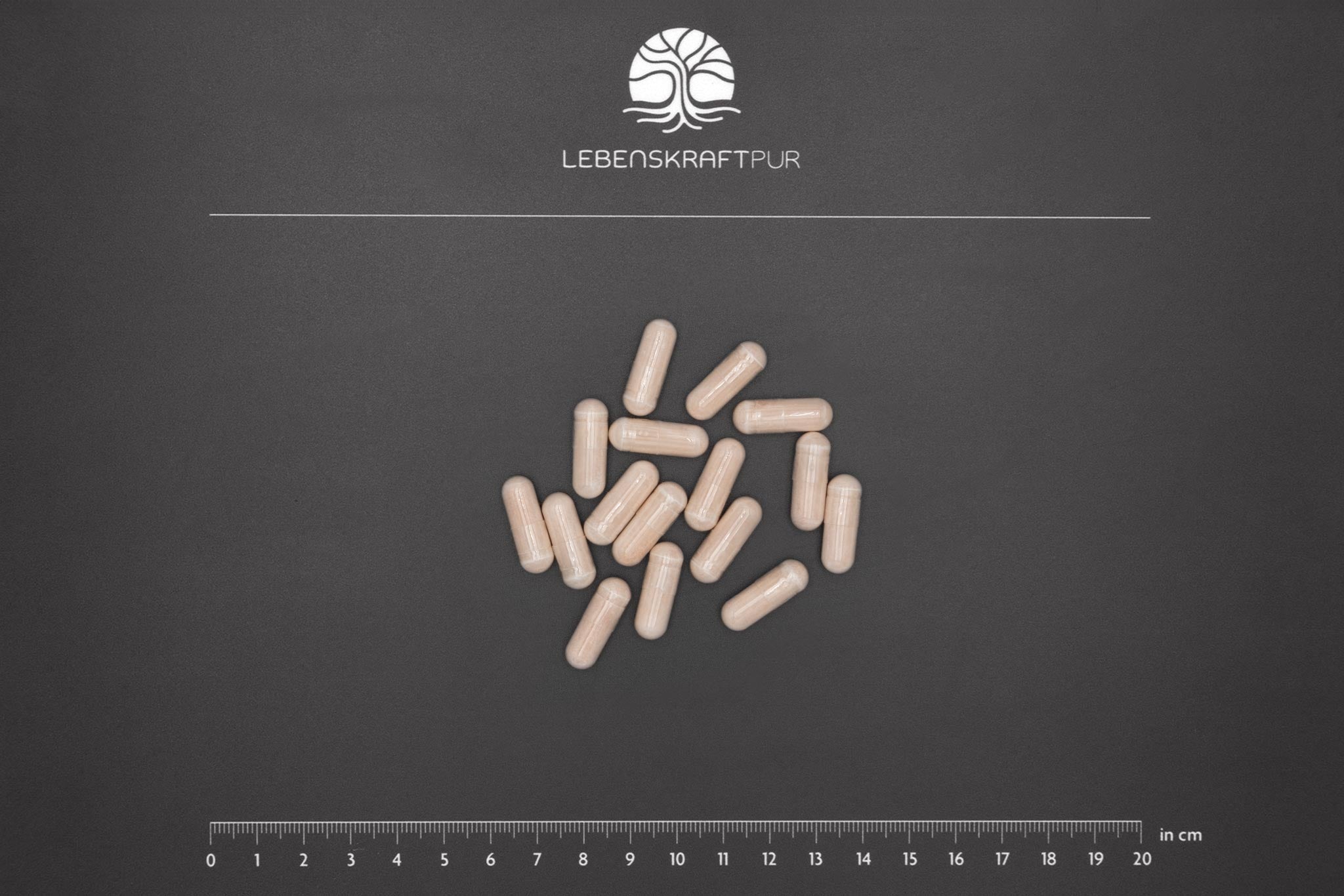 LebenskraftPur Lactoferrin Kapseln 400 mg aus Weidemilch