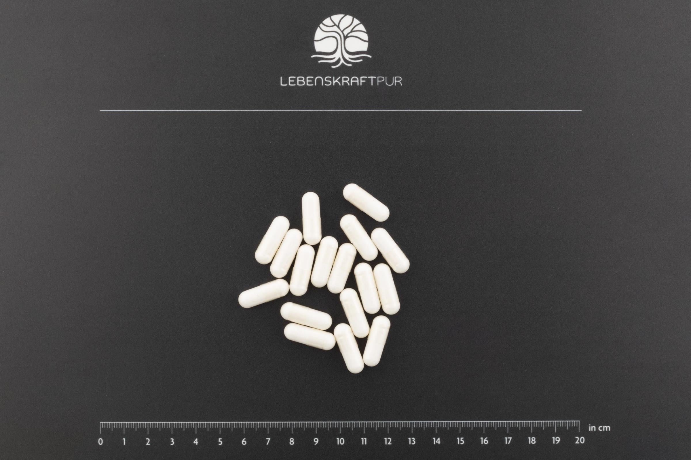 LebenskraftPur NAC 600 mg Kapseln 120 Kapseln vegan