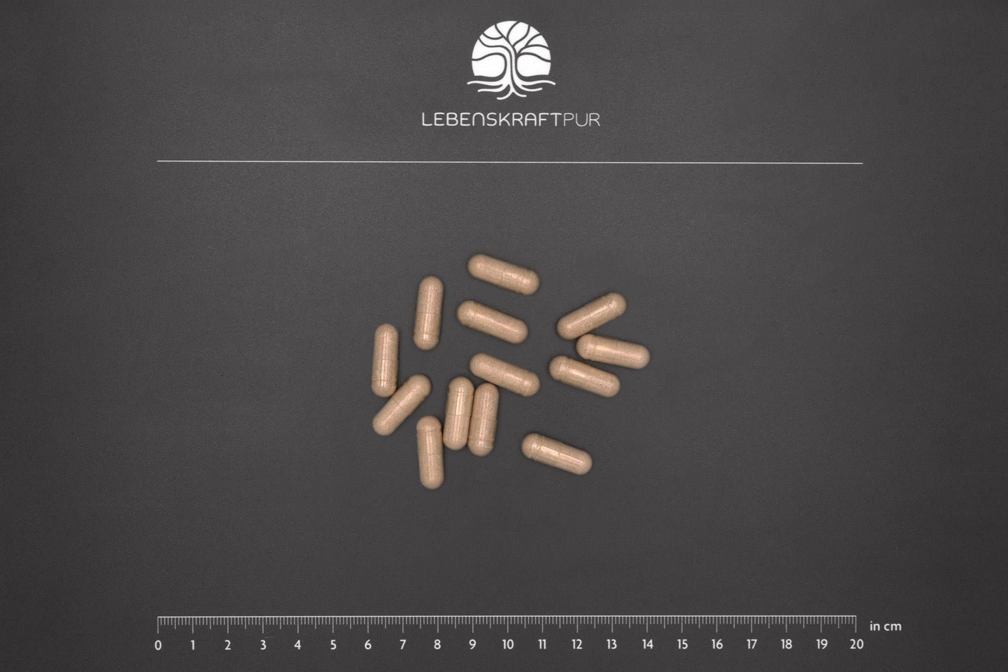 LebenskraftPur Andro Erekt Formula Kapseln Mann L-Arginin