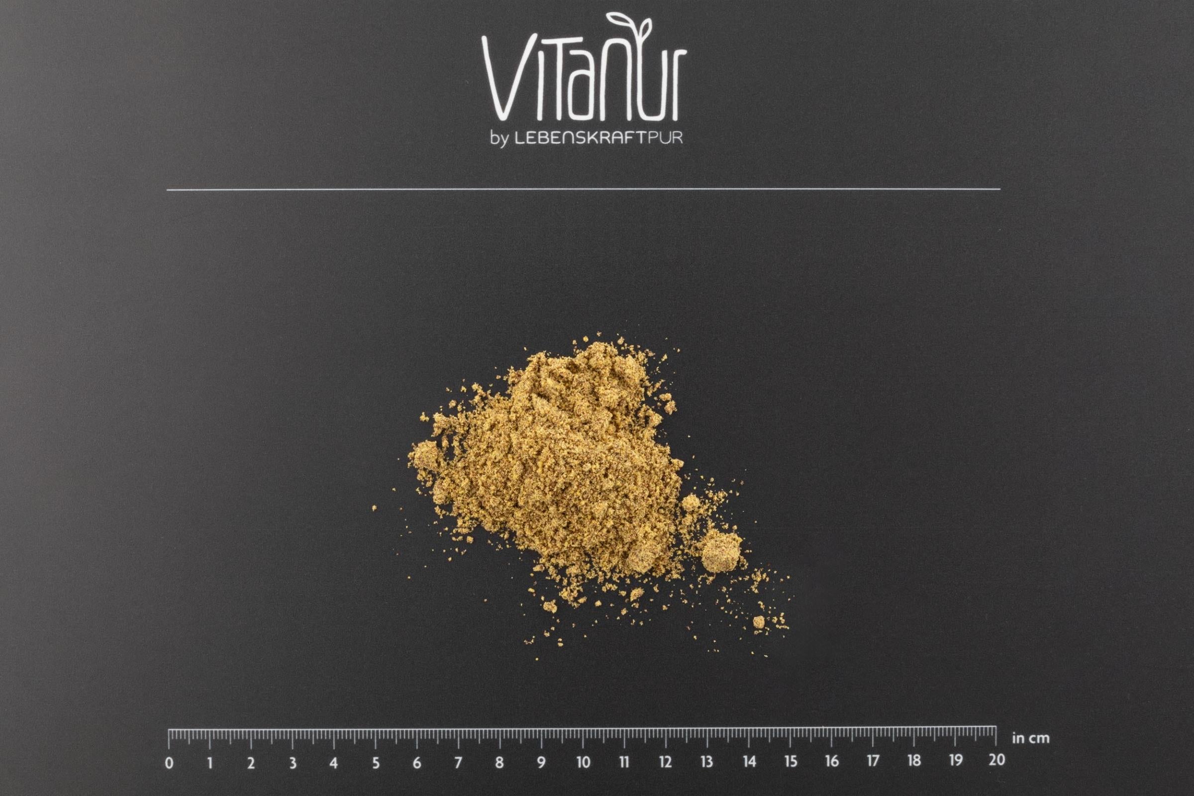 LebenskraftPur Superfood Bio Brokkolisamen Gekeimt Pulver bio roh