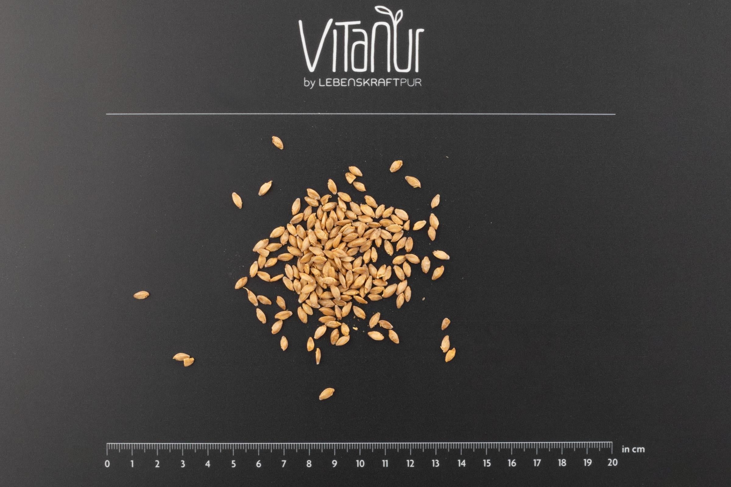 LebenskraftPur Bio Einkorn Gekeimt Superfood 750 g