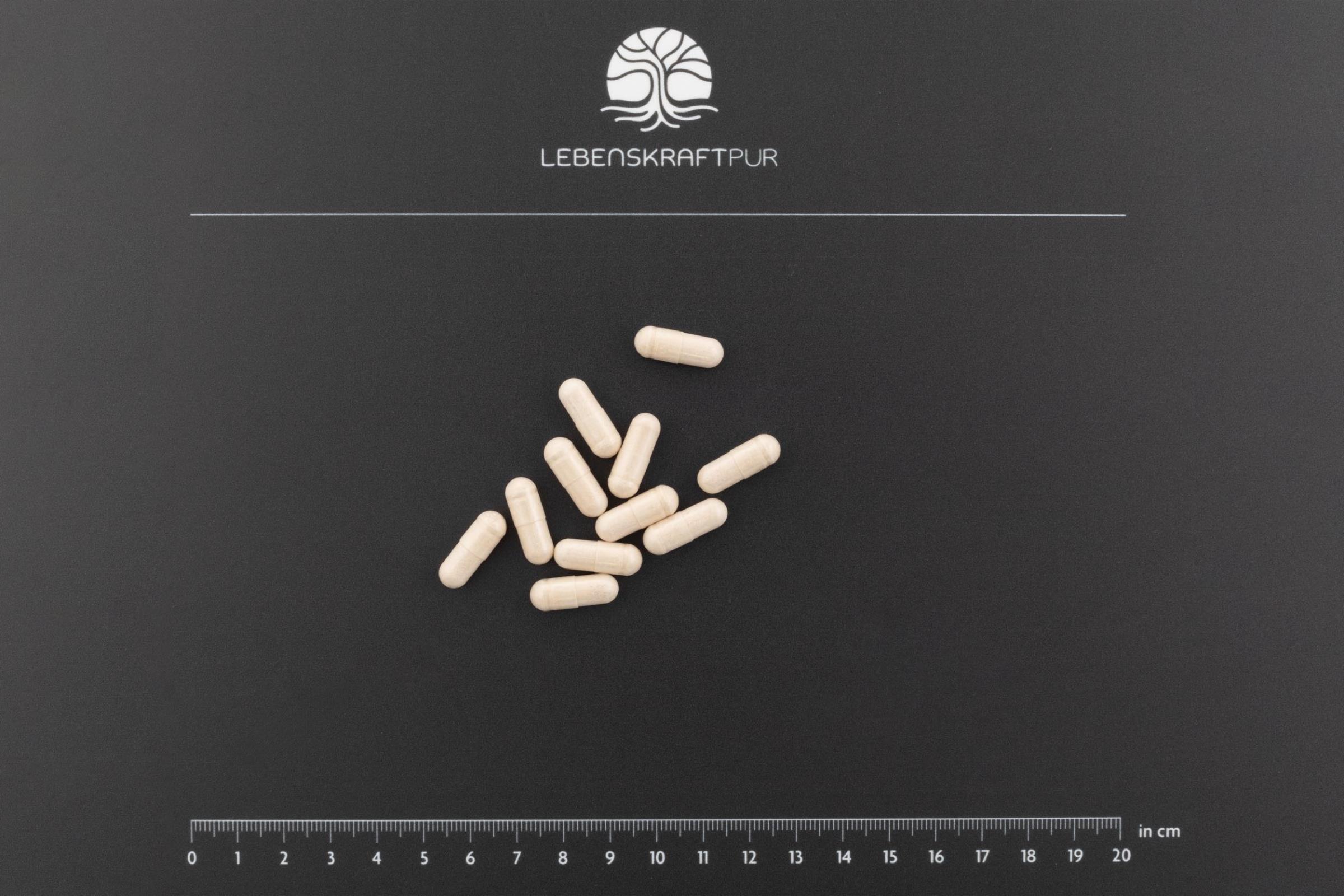 LebenskraftPur Mental Balance Kapseln Rosenwurz Ginkgo