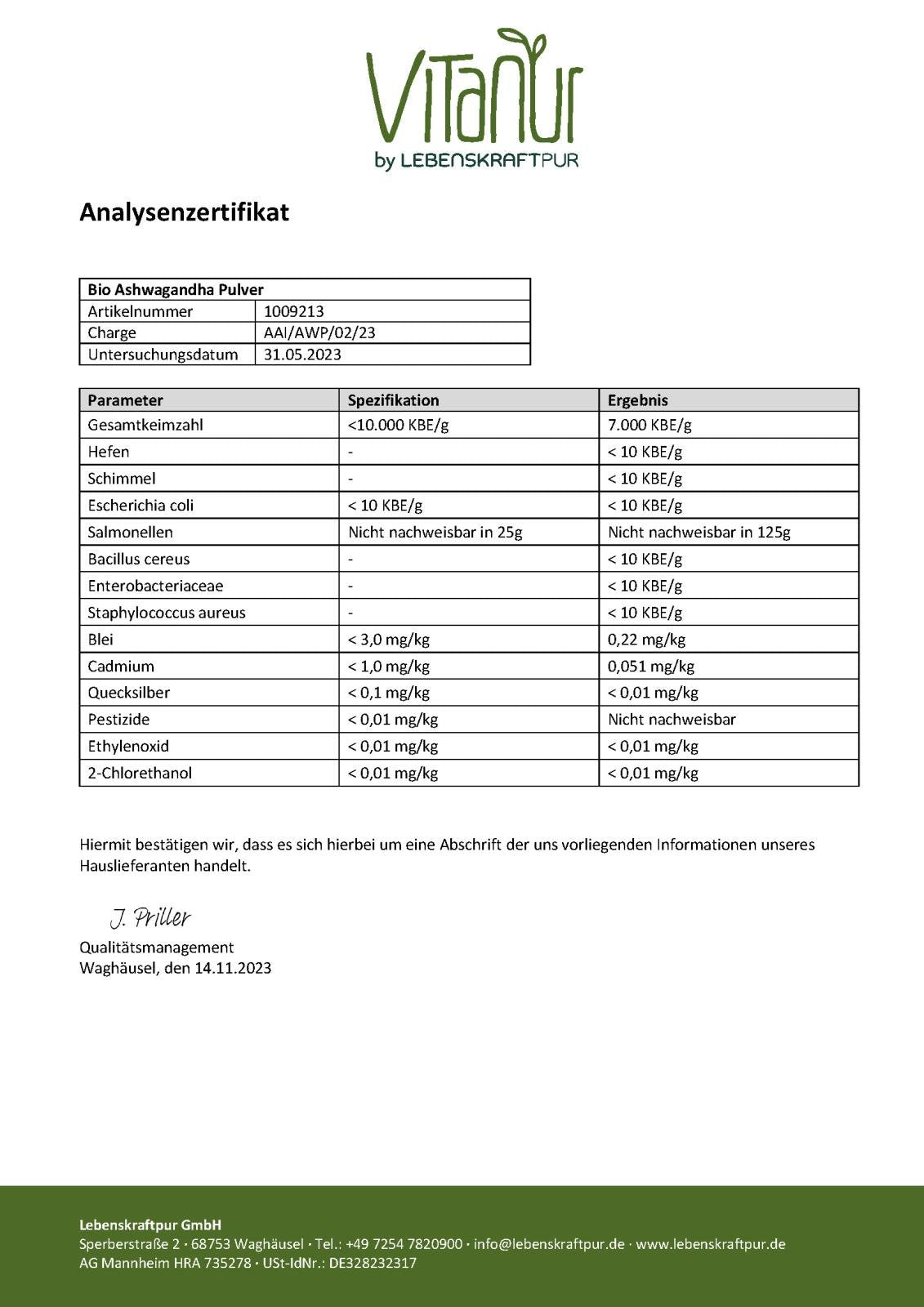 LebenskraftPur Bio Ashwagandha Pulver rein