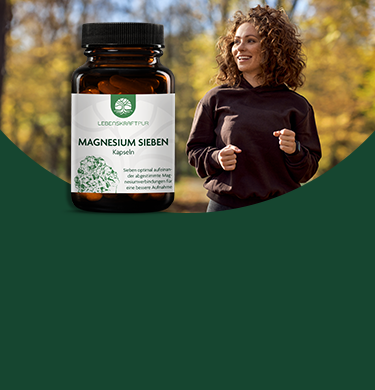 LebenskraftPur Bio Bitterkräuter II Tropfen 100 ml 12 Kräuter