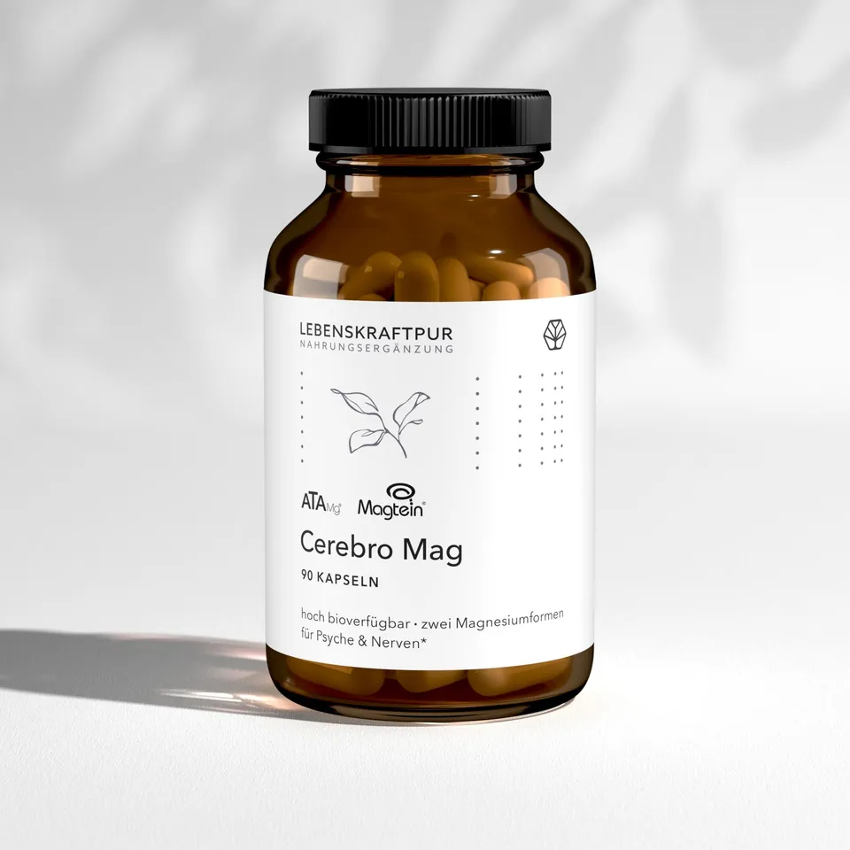 LebenskraftPur Cerebro Mag Kapseln Magnesium L-Threonat 90