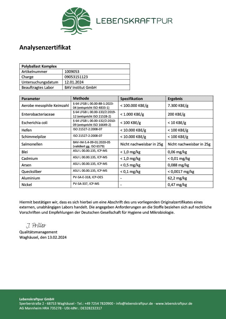 LebenskraftPur Superfood PolyBallast Komplex Pulver Beeren-Kurkuma