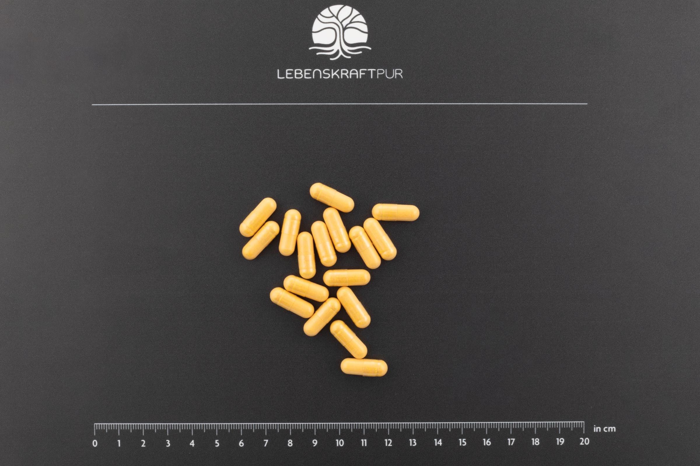 LebenskraftPur Q10 Coenzym Kapseln Ubiquinon mit Cordyceps