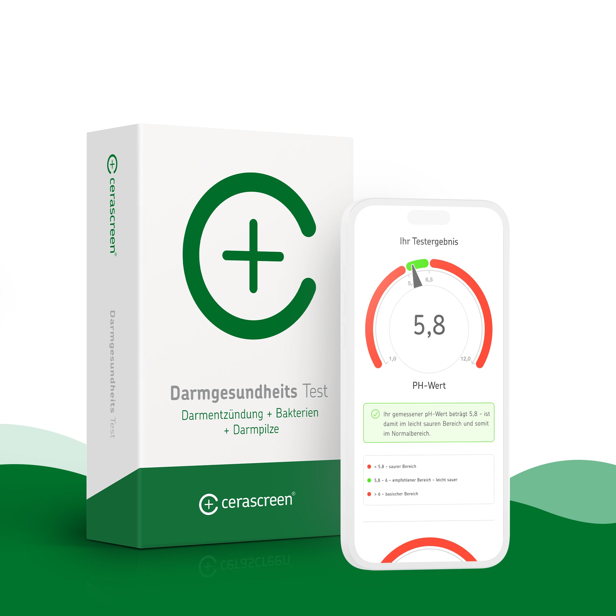 cerascreen Darmgesundheits Test Darmtest Einzelpackung