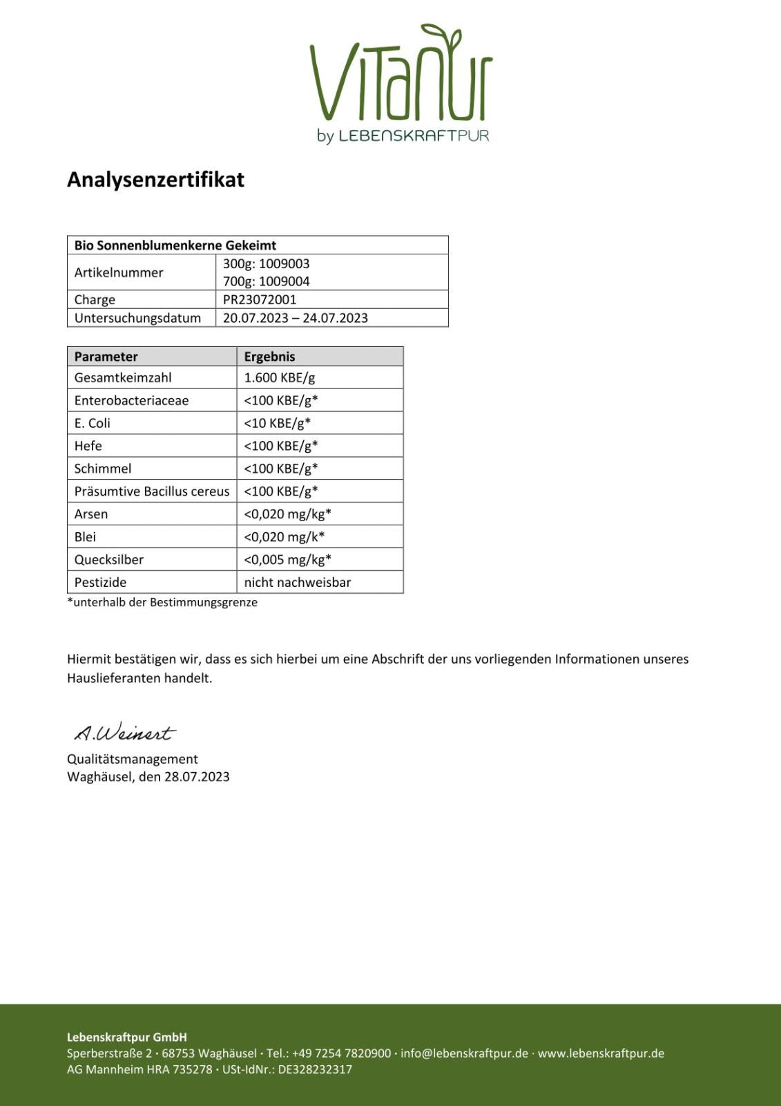 LebenskraftPur Bio Sonnenblumenkerne Gekeimt 300 g Rohkost