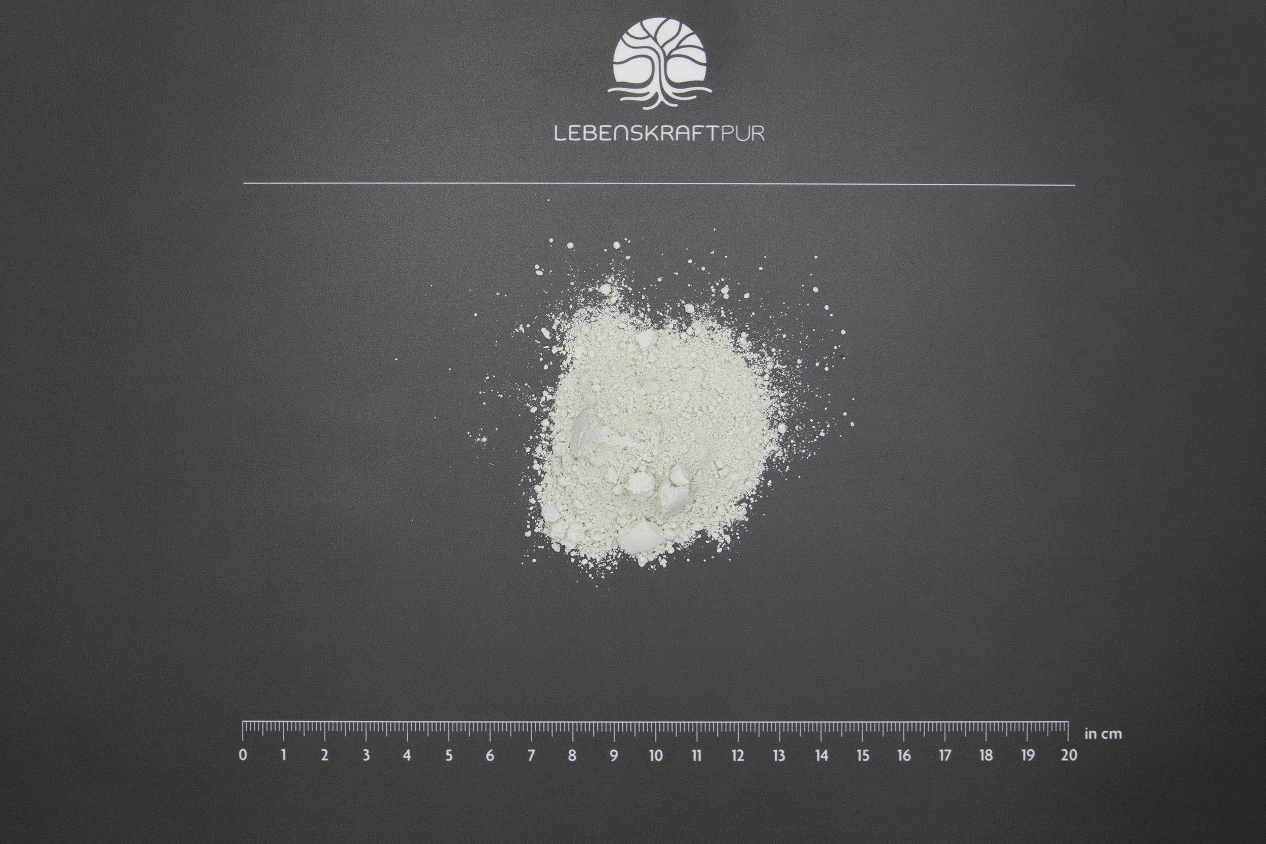 LebenskraftPur Zeolith MED Pulver 200 g Klinoptilolith
