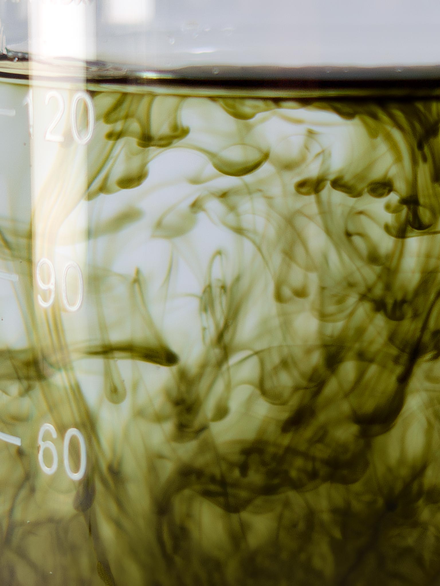 LebenskraftPur Chlorophyll Tropfen Liquid Alfalfa vegan