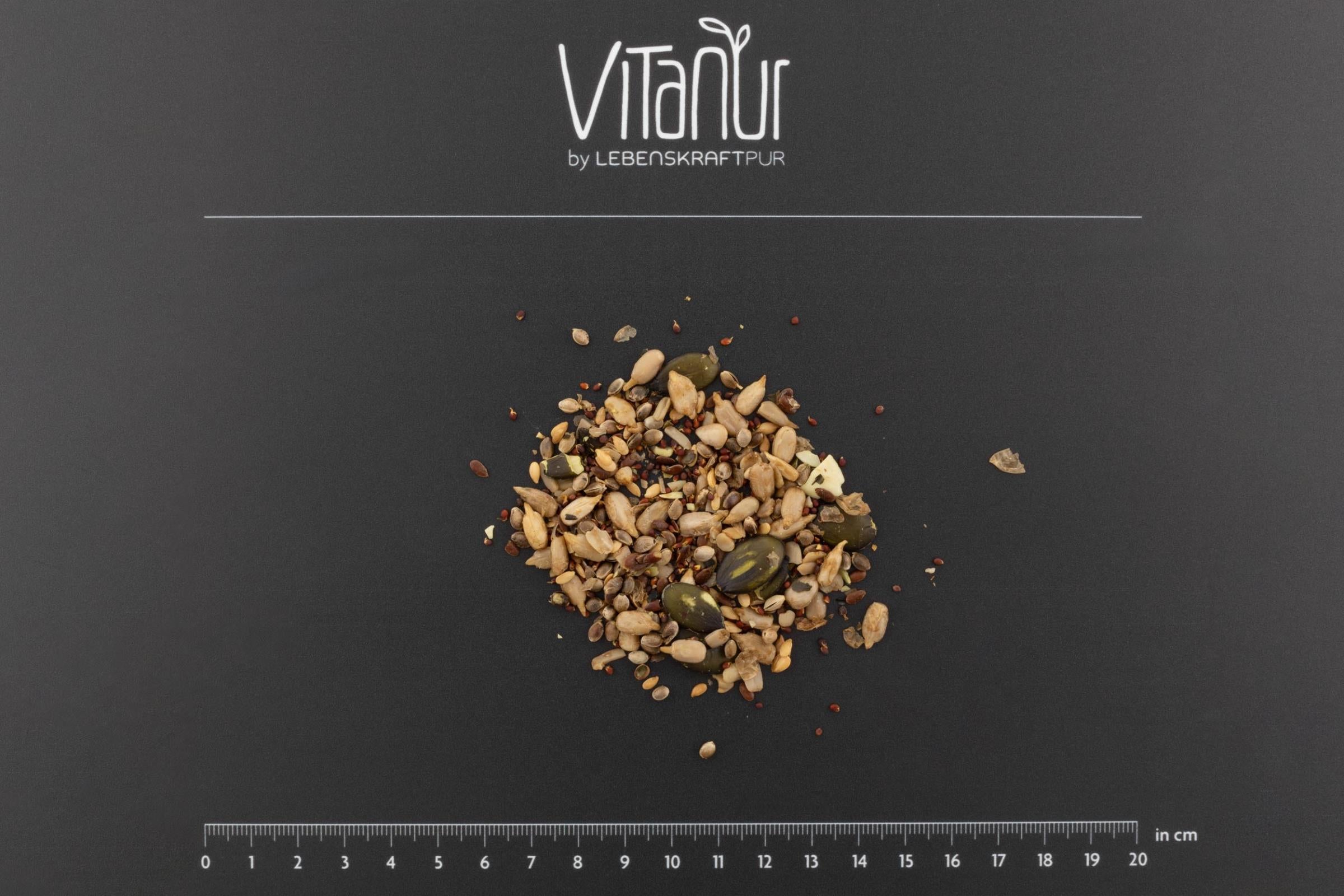 LebenskraftPur Bio Salatkernmix Gekeimt Topping