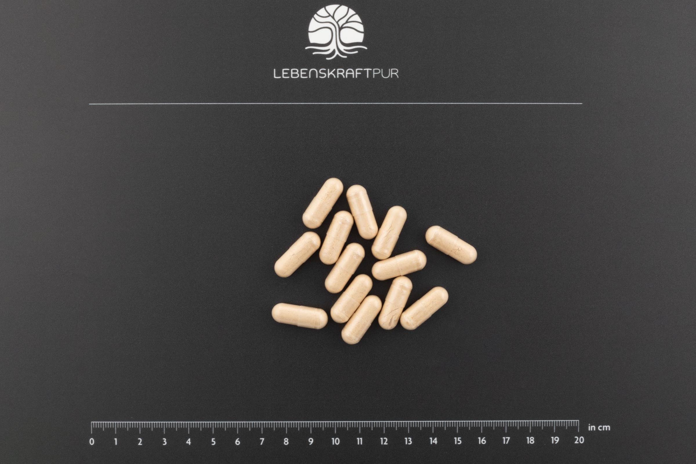 LebenskraftPur Regeneration Nacht Kapseln Melatonin 1 mg vegan