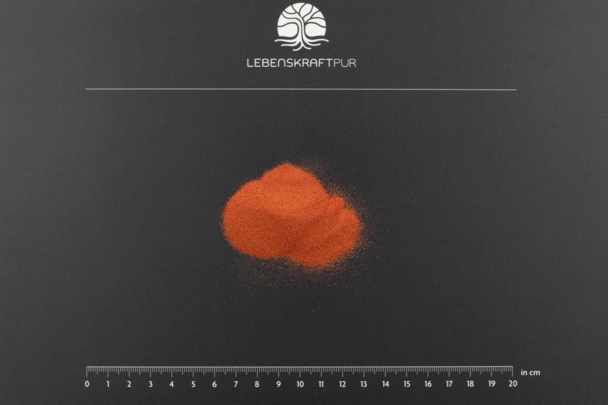 LebenskraftPur MPC Traubenkernextrakt Pulver 30% 200 Port.