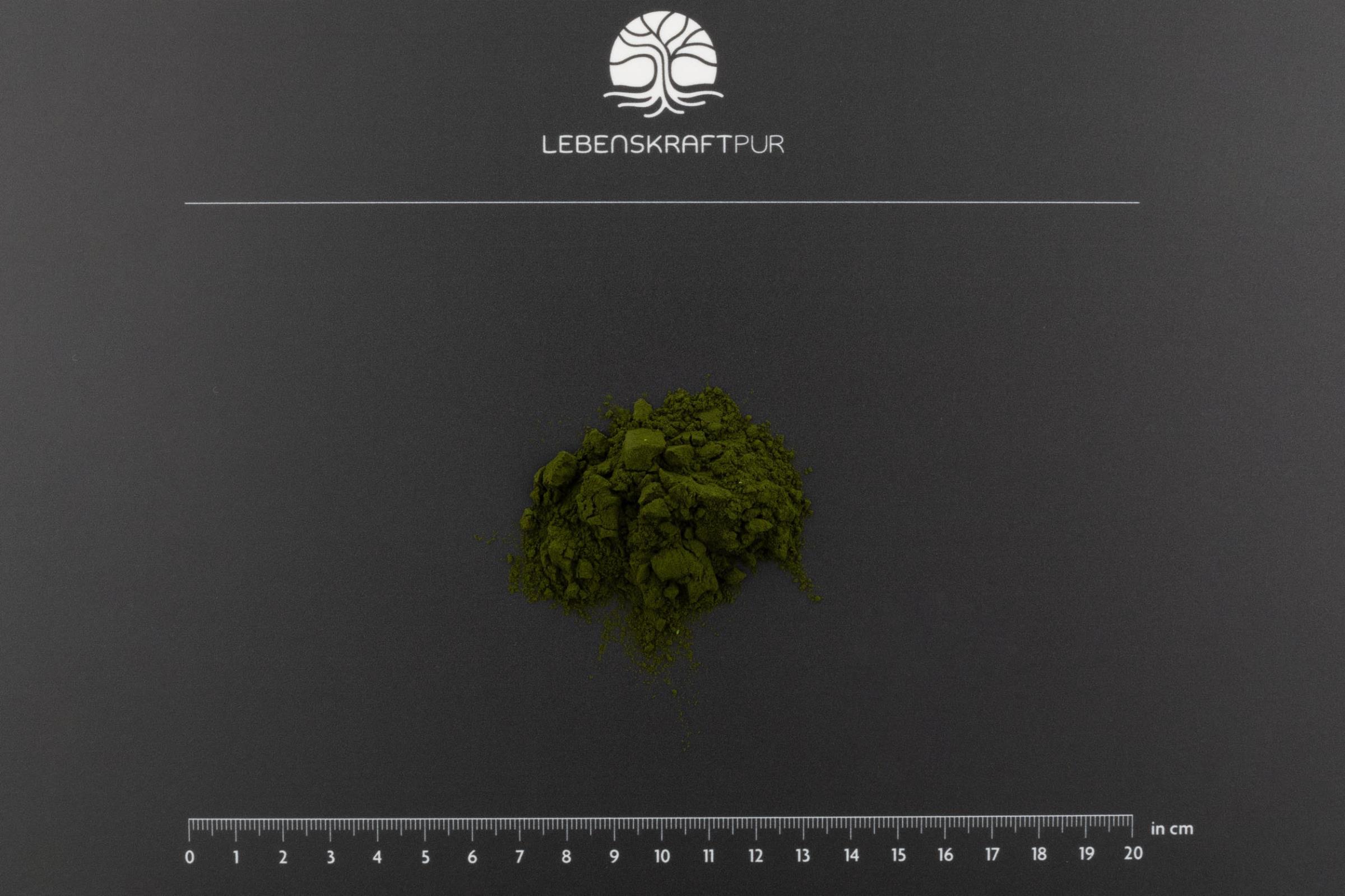 LebenskraftPur Marines Phytoplankton Pulver vegan EPA