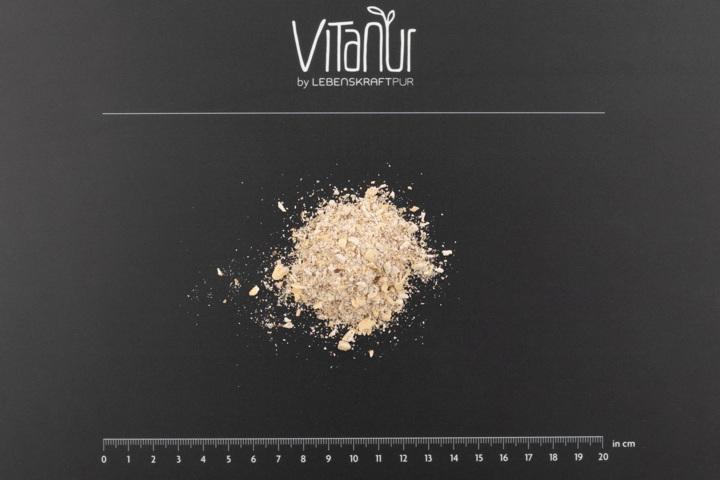 LebenskraftPur Superfood Bio Porridge Gekeimt Müsli ohne Zucker