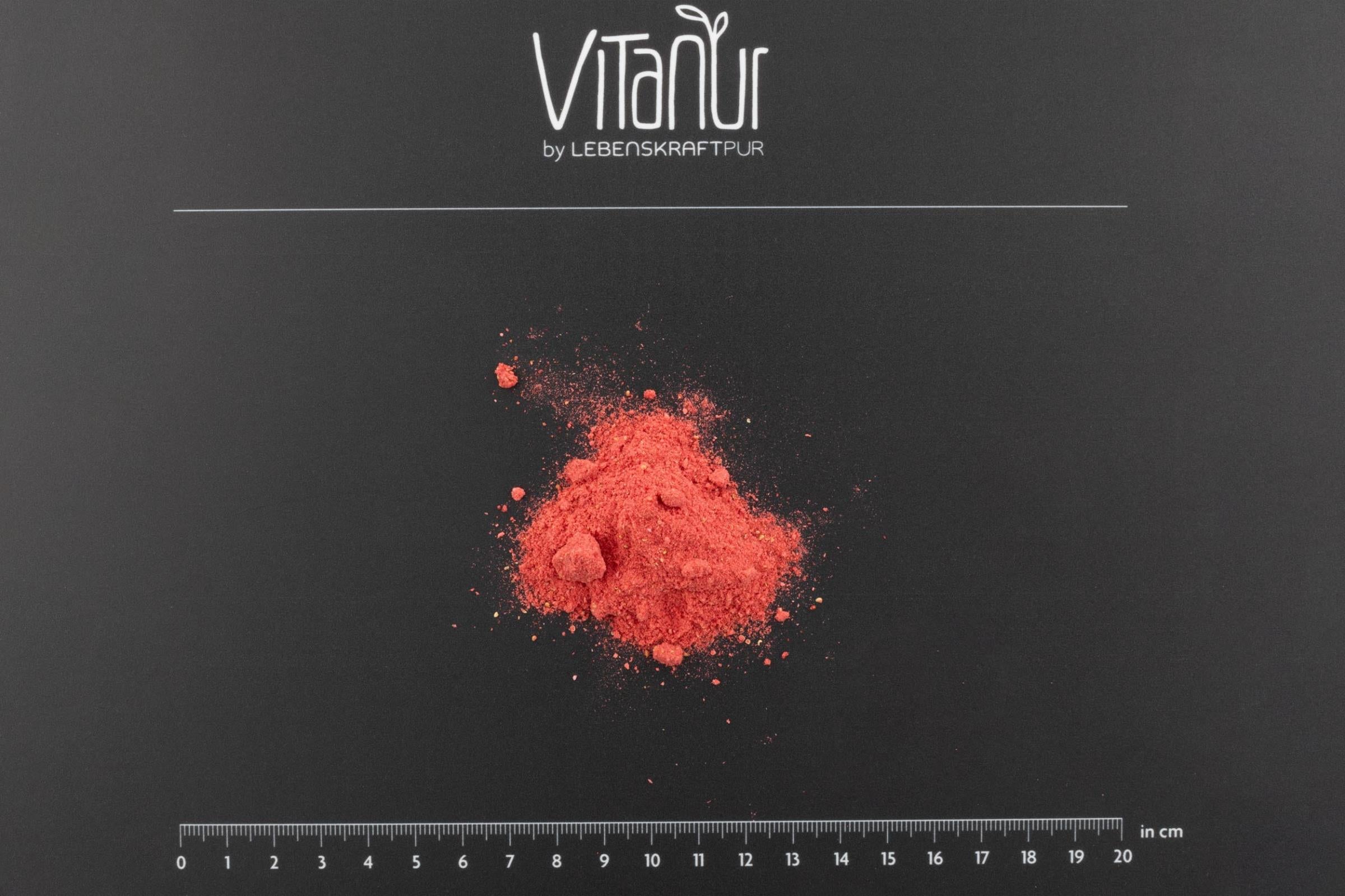 LebenskraftPur Bio Erdbeere Pulver Fruchtpulver 150 g fruchtig