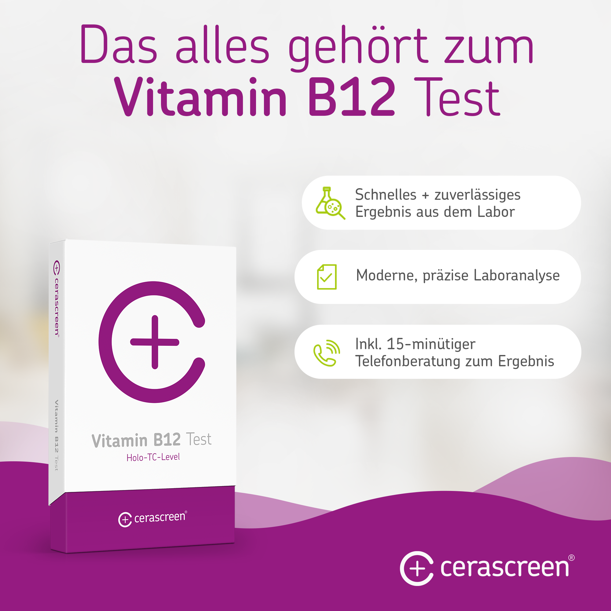 cerascreen Vitamin B12 Test Bluttest Doppelpackung 2er
