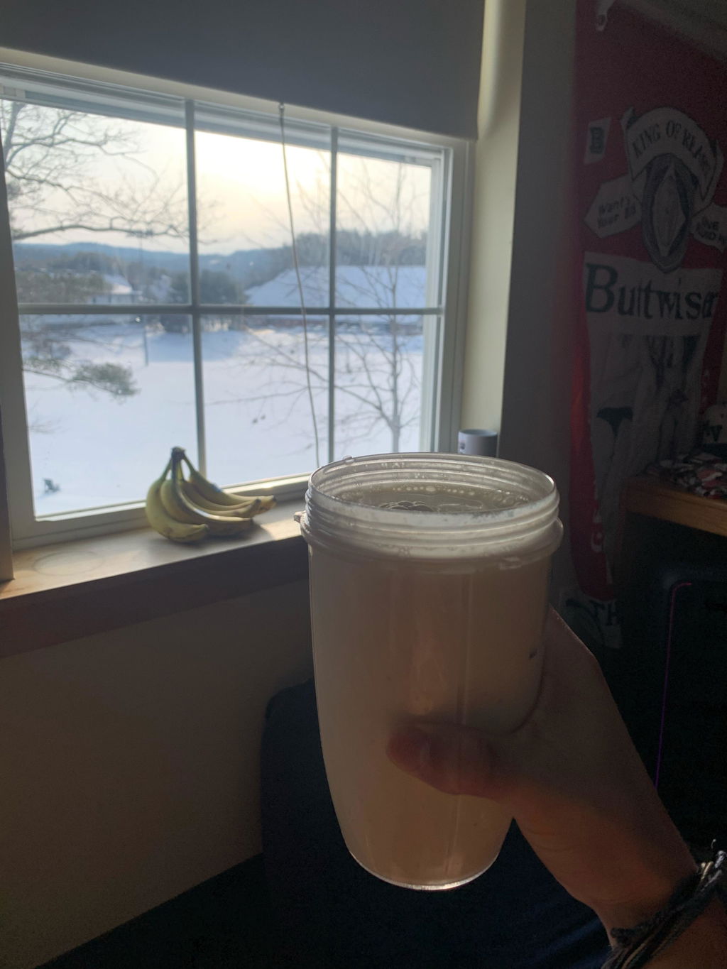 Puori PW1 Whey Protein Bourbon Vanille Regular 21g
