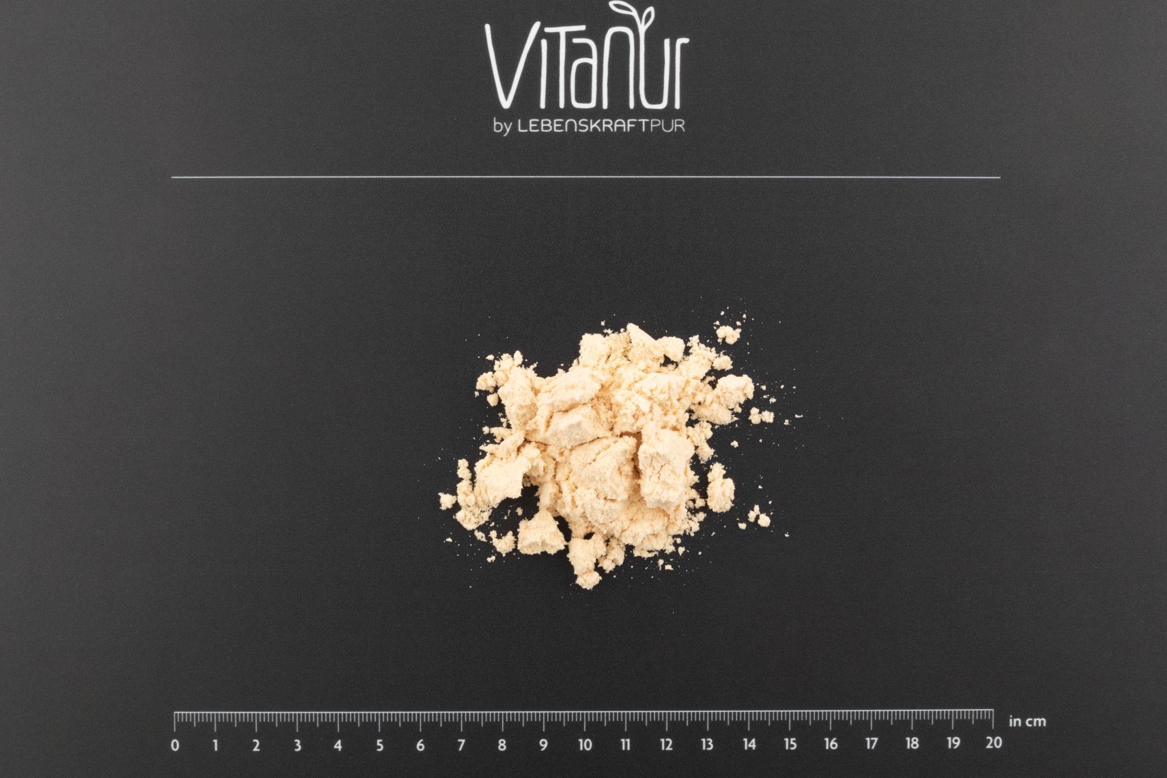 LebenskraftPur Bio Knochenbrühe Pulver Superfood Rind