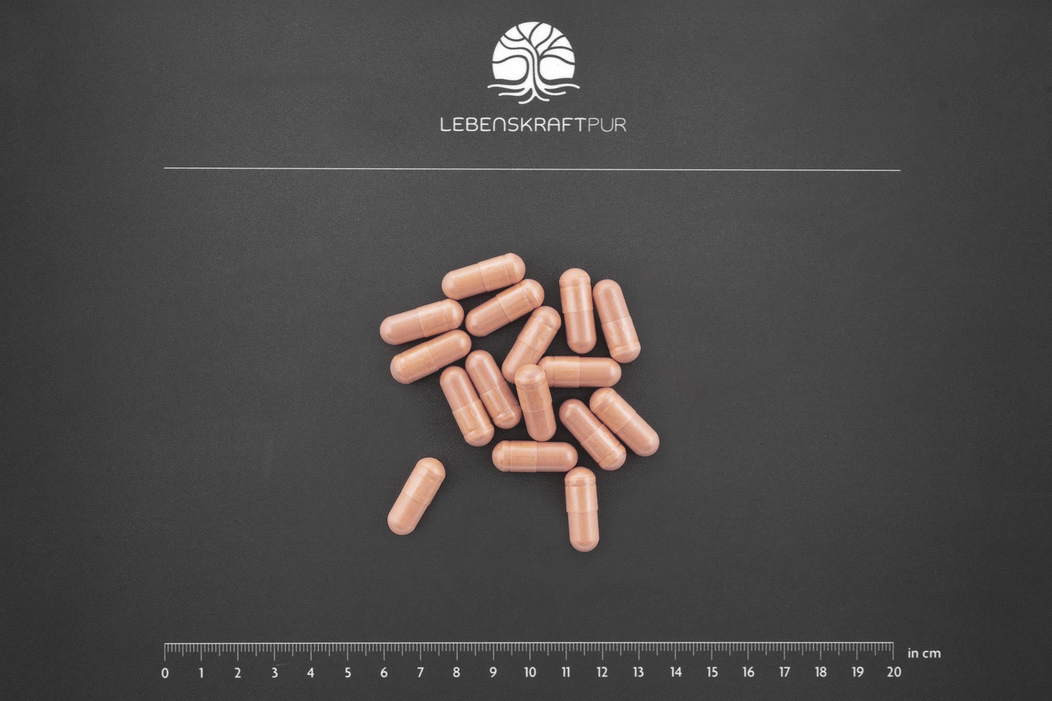 LebenskraftPur Amino Plus Kapseln Essenzielle Aminosäuren