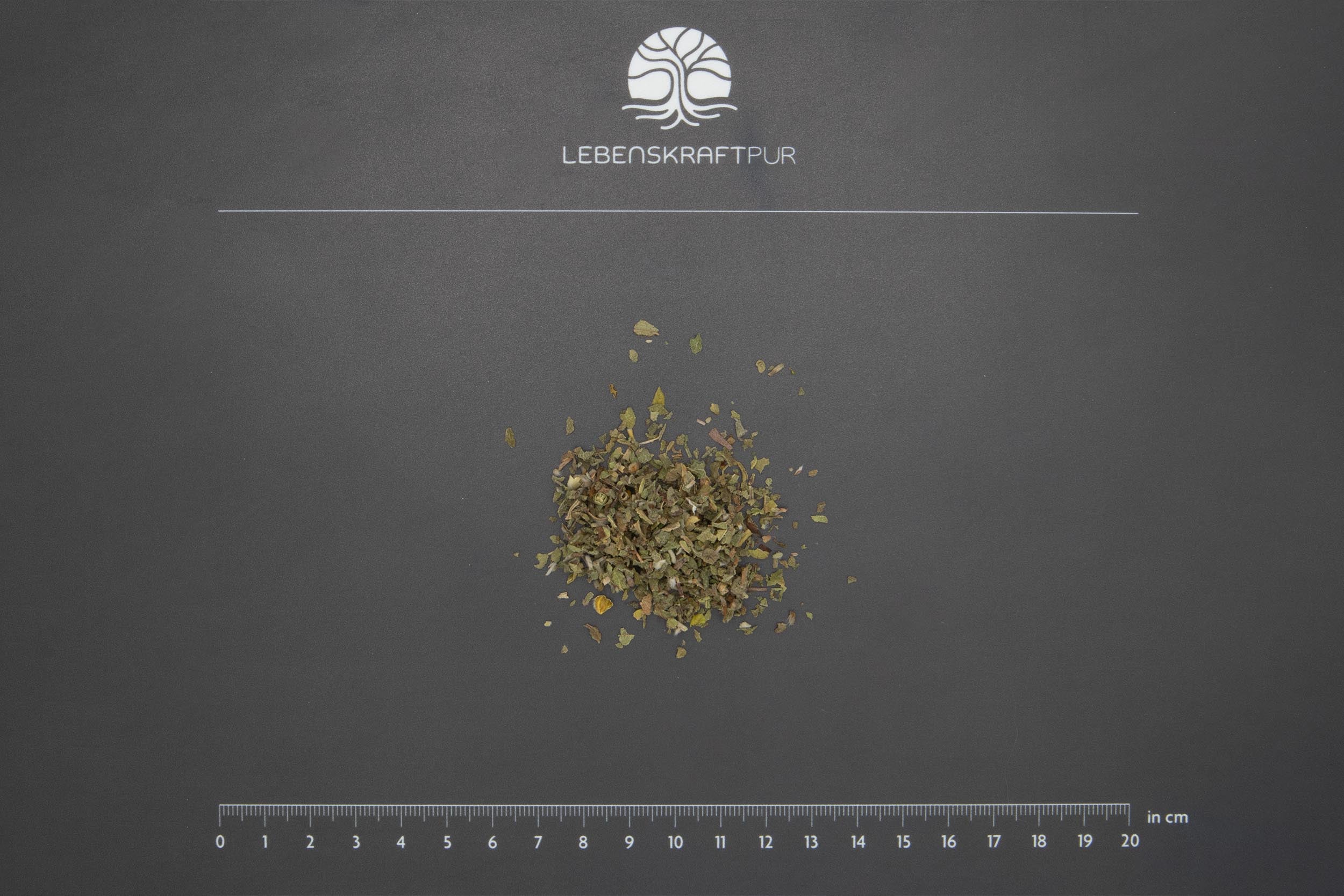 LebenskraftPur Superfood Bio Zistrosenkraut 250 g Wildsammlung