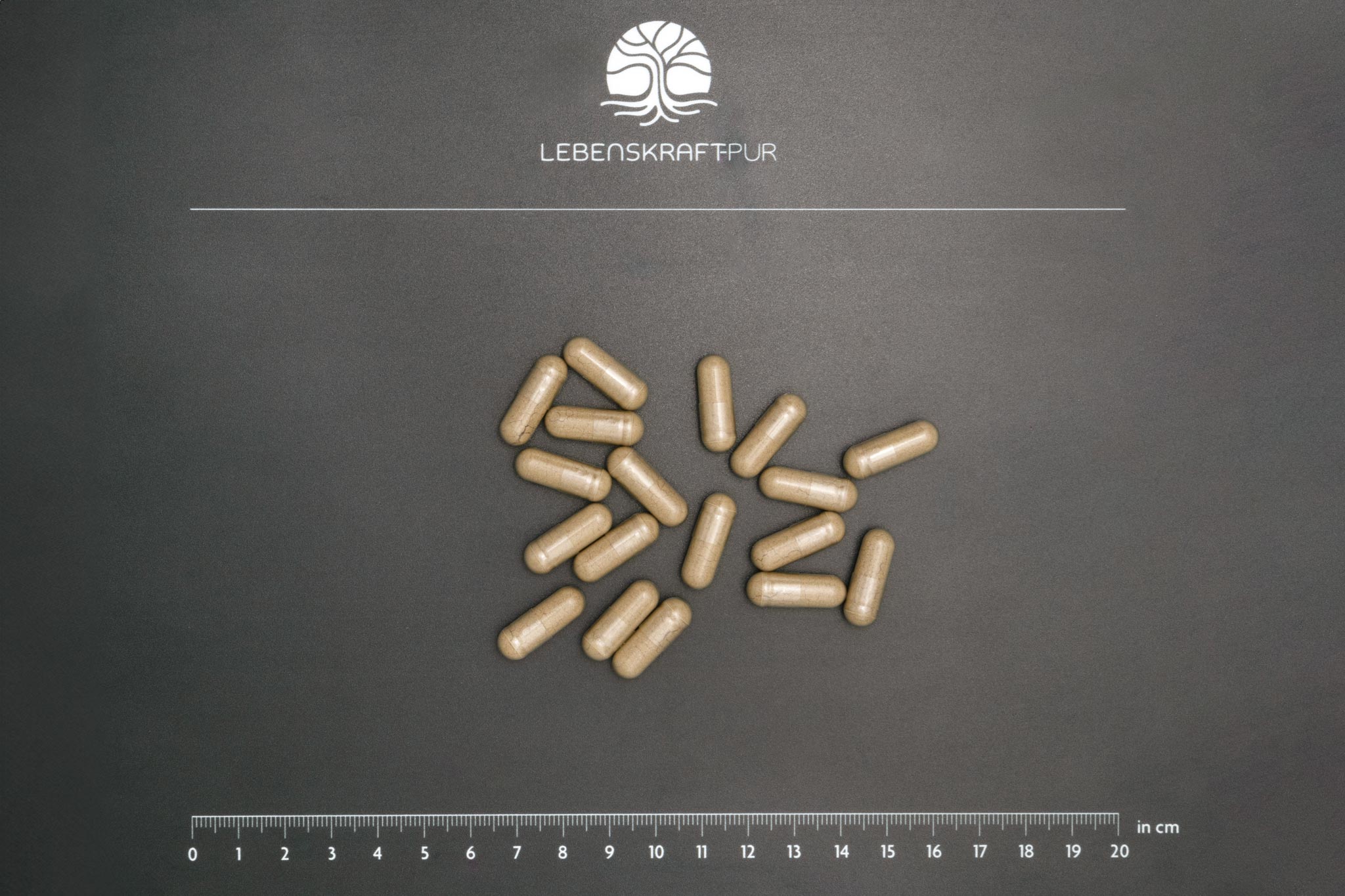 LebenskraftPur Eisen Natura 60 Kapseln Curryblatt Vitamin C