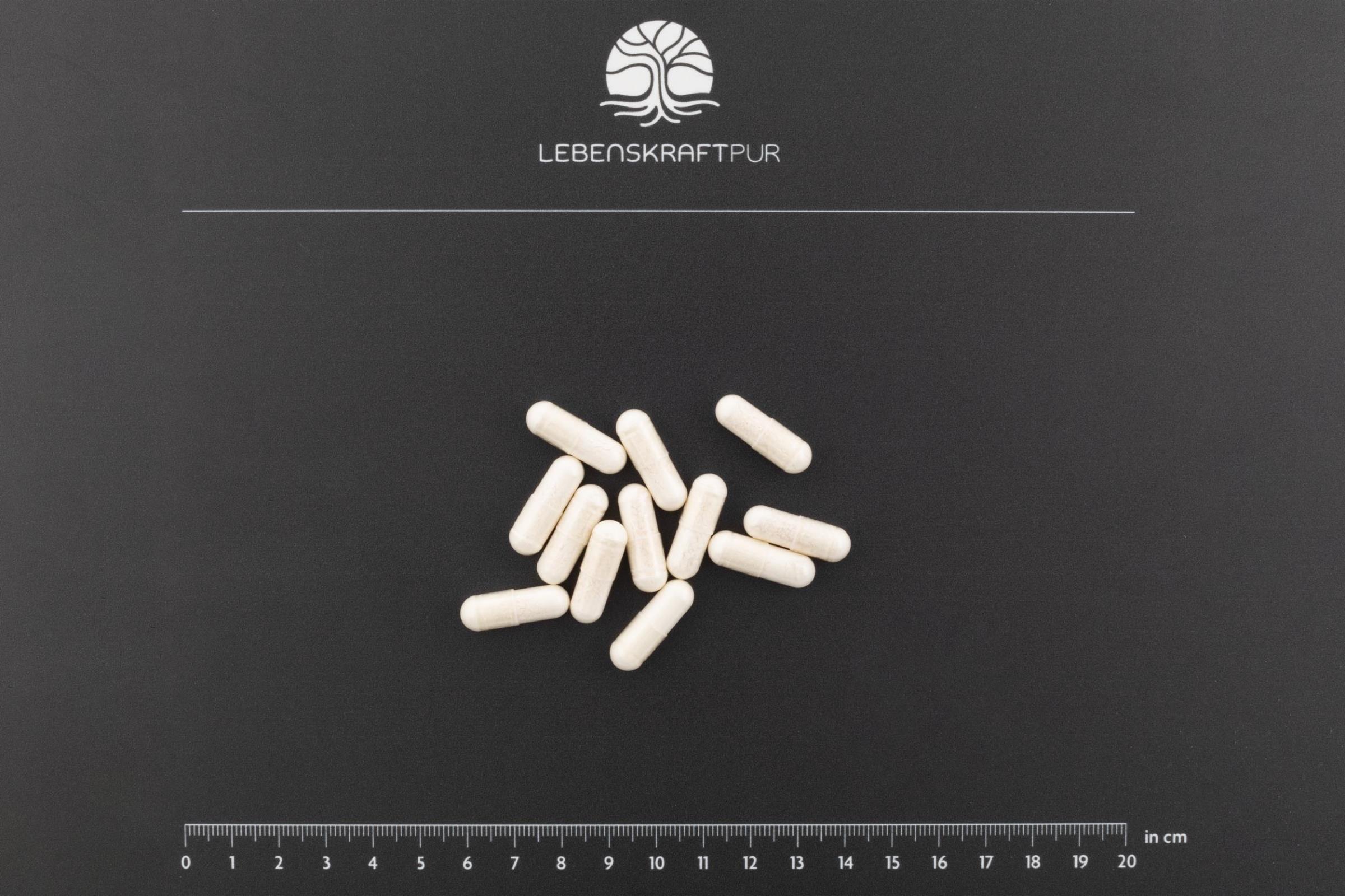 LebenskraftPur L-Tryptophan Kapseln 500 mg 60 Kapseln