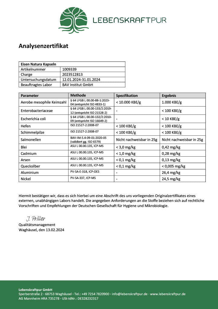 LebenskraftPur Eisen Natura 60 Kapseln Curryblatt Vitamin C