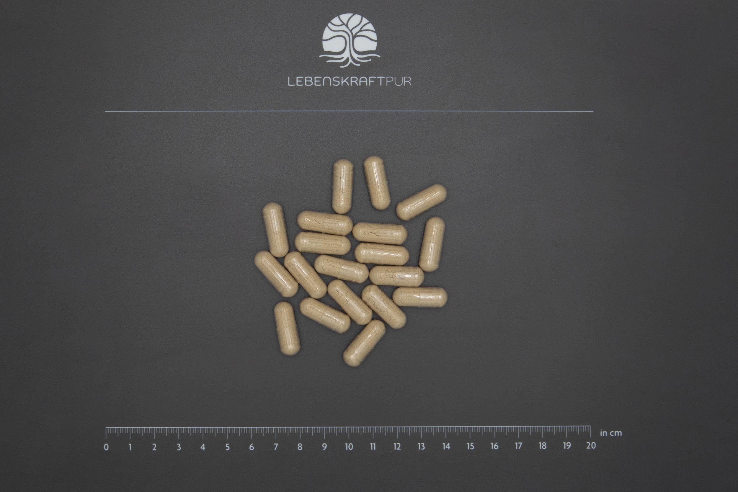 LebenskraftPur Ashwagandha Vollspektrum-Extrakt Kapseln vegan