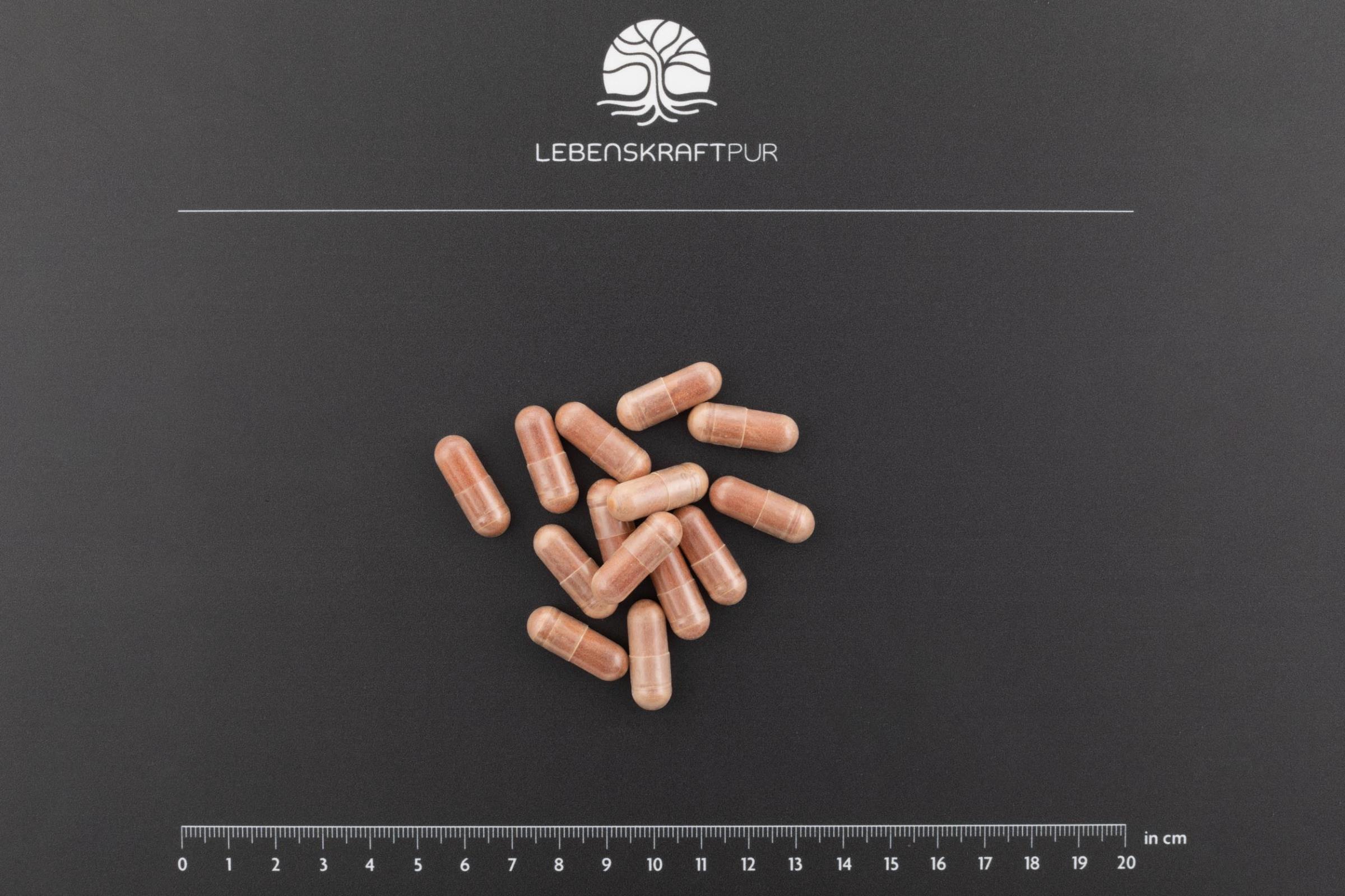 LebenskraftPur MPC Traubenkernextrakt Kapseln 60 Kapseln