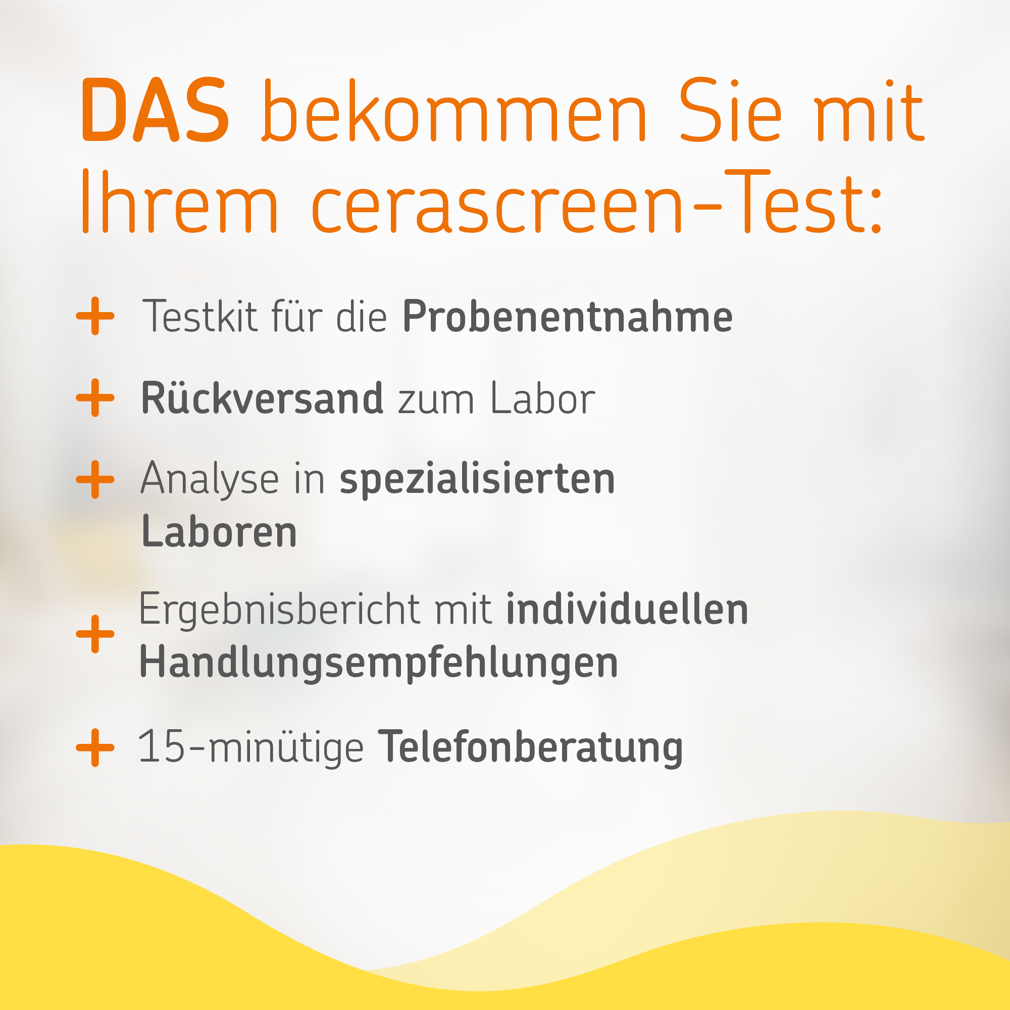 cerascreen Vital Vitamin D Test Vorteilspackung Bluttest