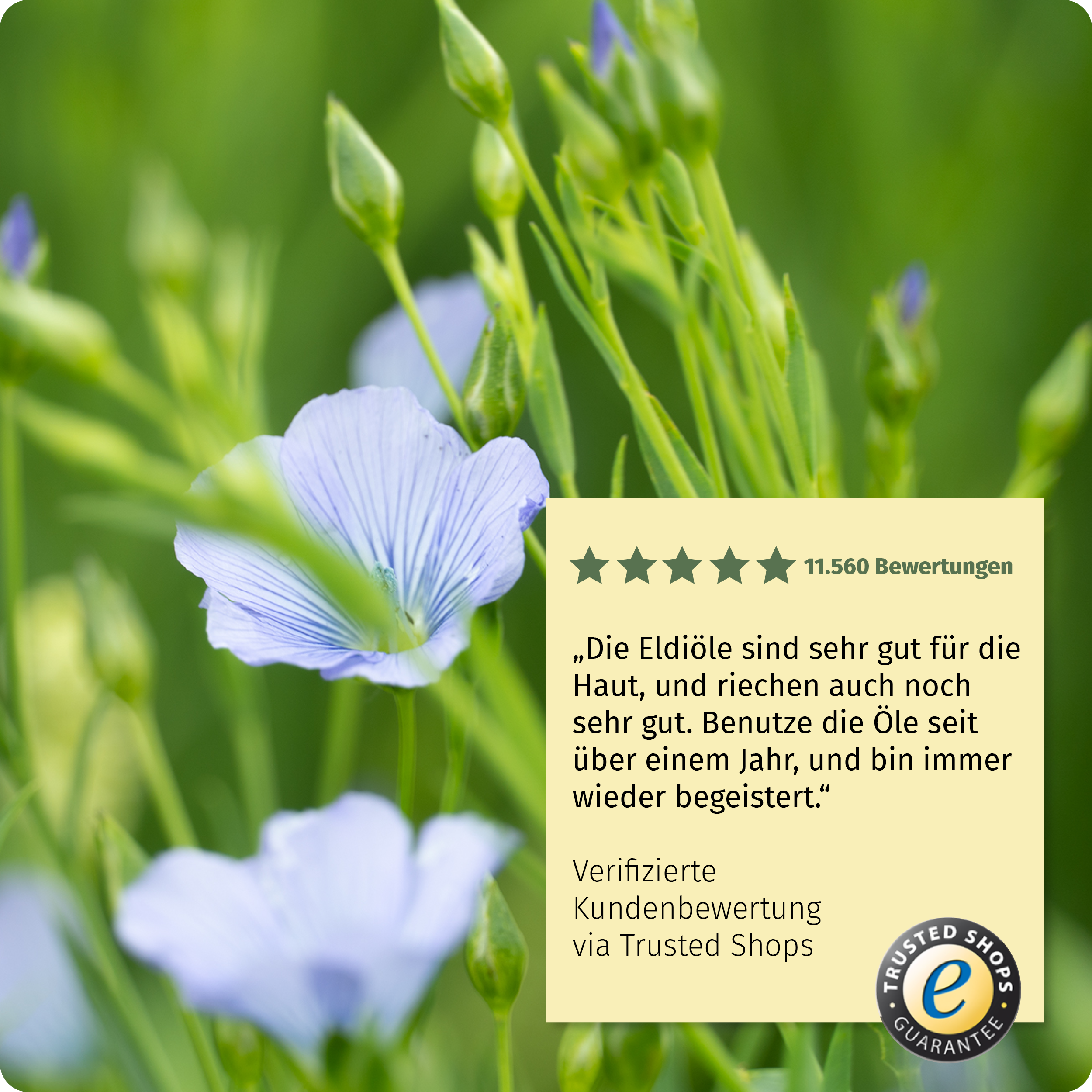 Dr. Johanna Budwig Eldi Öl R Pflegeöl naturbelassen