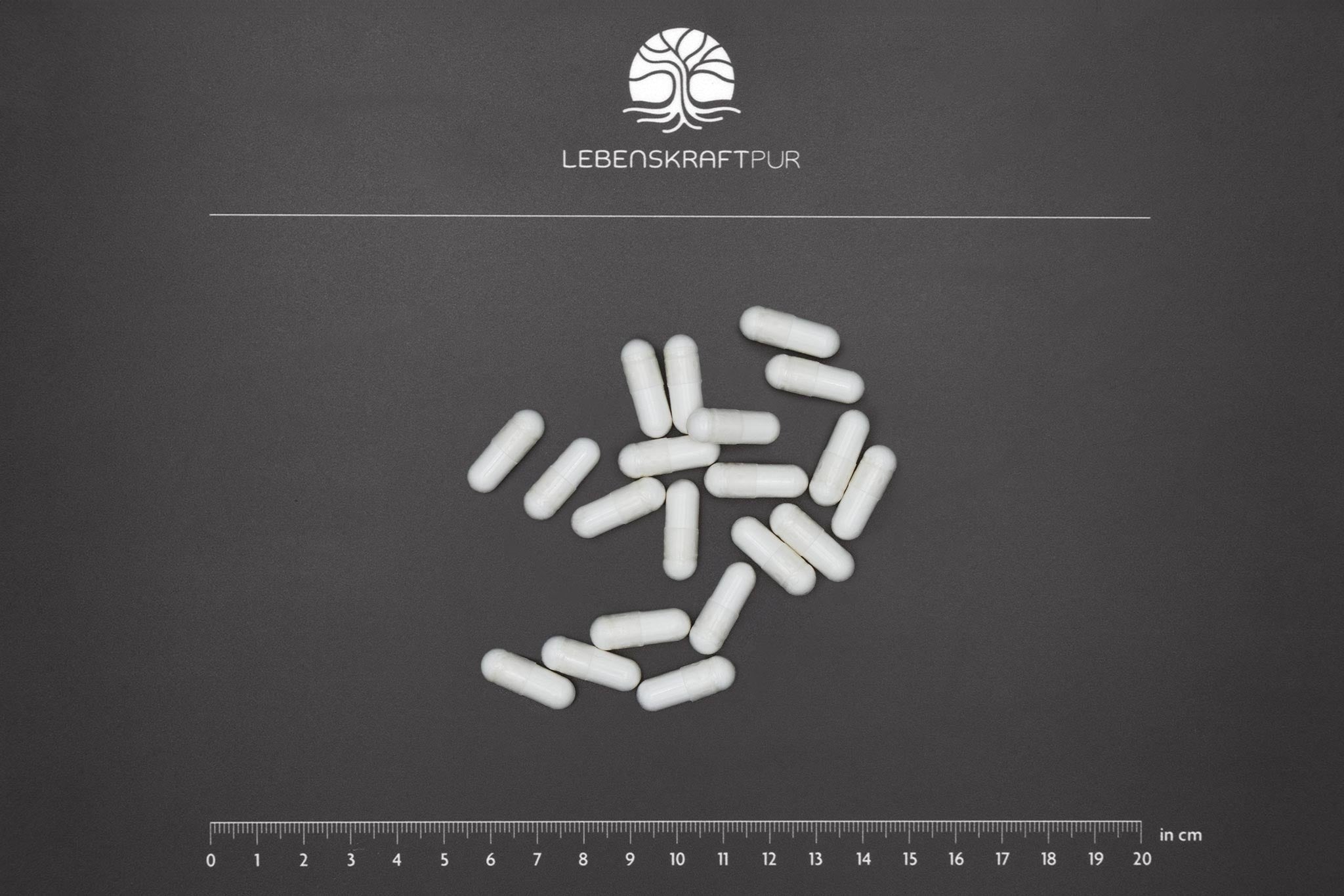 LebenskraftPur Magtein Magnesium L-Threonat Kapseln vegan