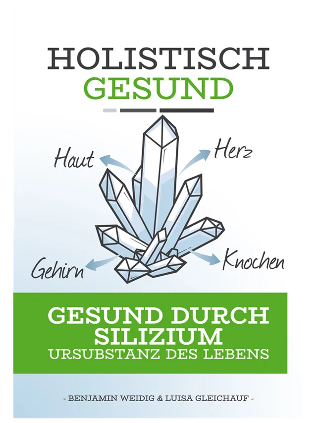 LebenskraftPur Holistisch Gesund Silizium Buch Benjamin Weidig