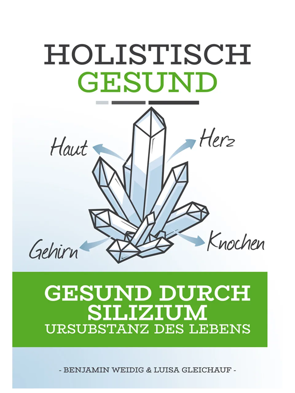 LebenskraftPur Holistisch Gesund Silizium Buch Benjamin Weidig