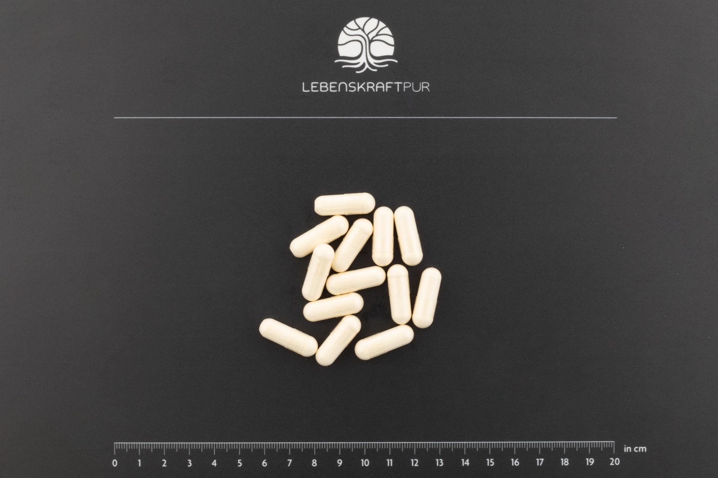 LebenskraftPur L-Arginin Plus Kapseln Citrullin B12