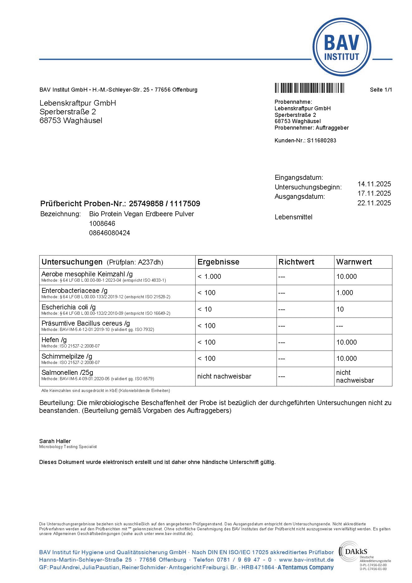 LebenskraftPur Bio Protein Vegan Erdbeere Pulver