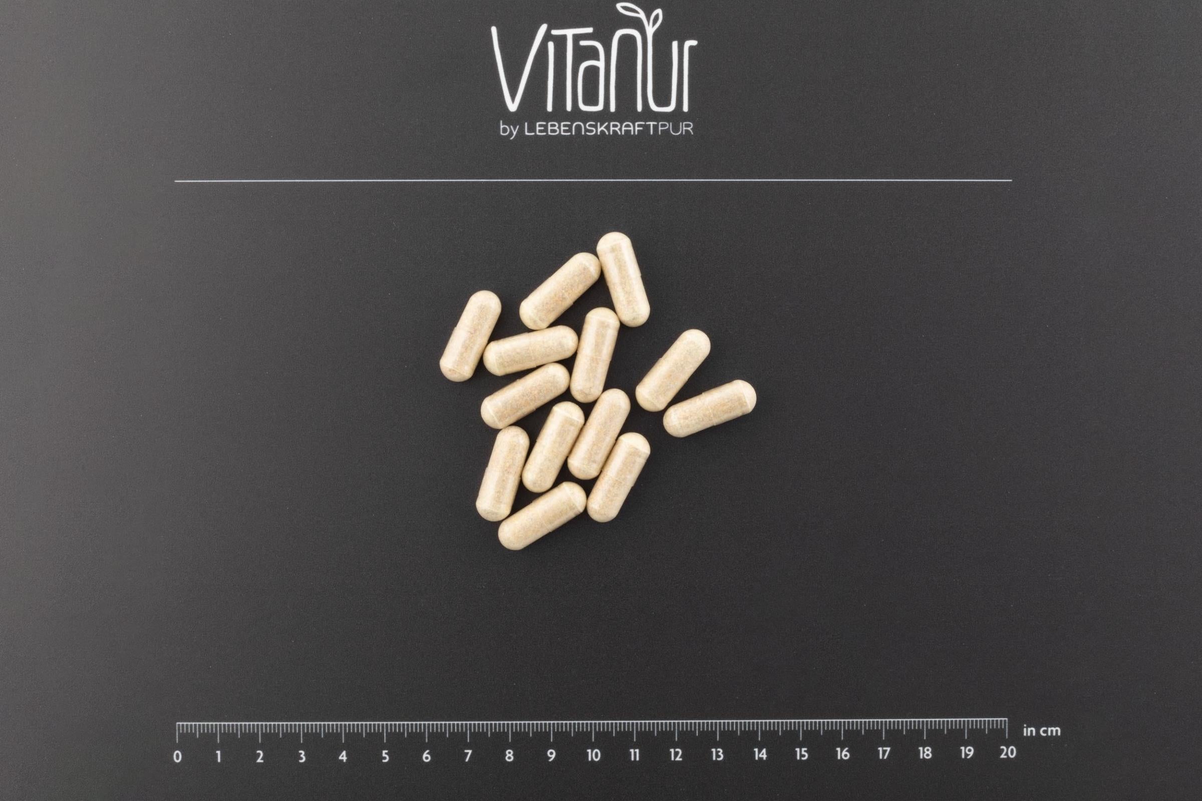 LebenskraftPur Bio Bockshornkleesprossen Kapseln vegan