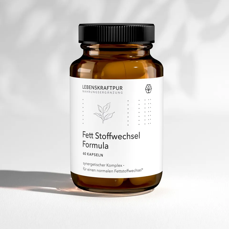 LebenskraftPur Fett Stoffwechsel Formula Kapseln Zink