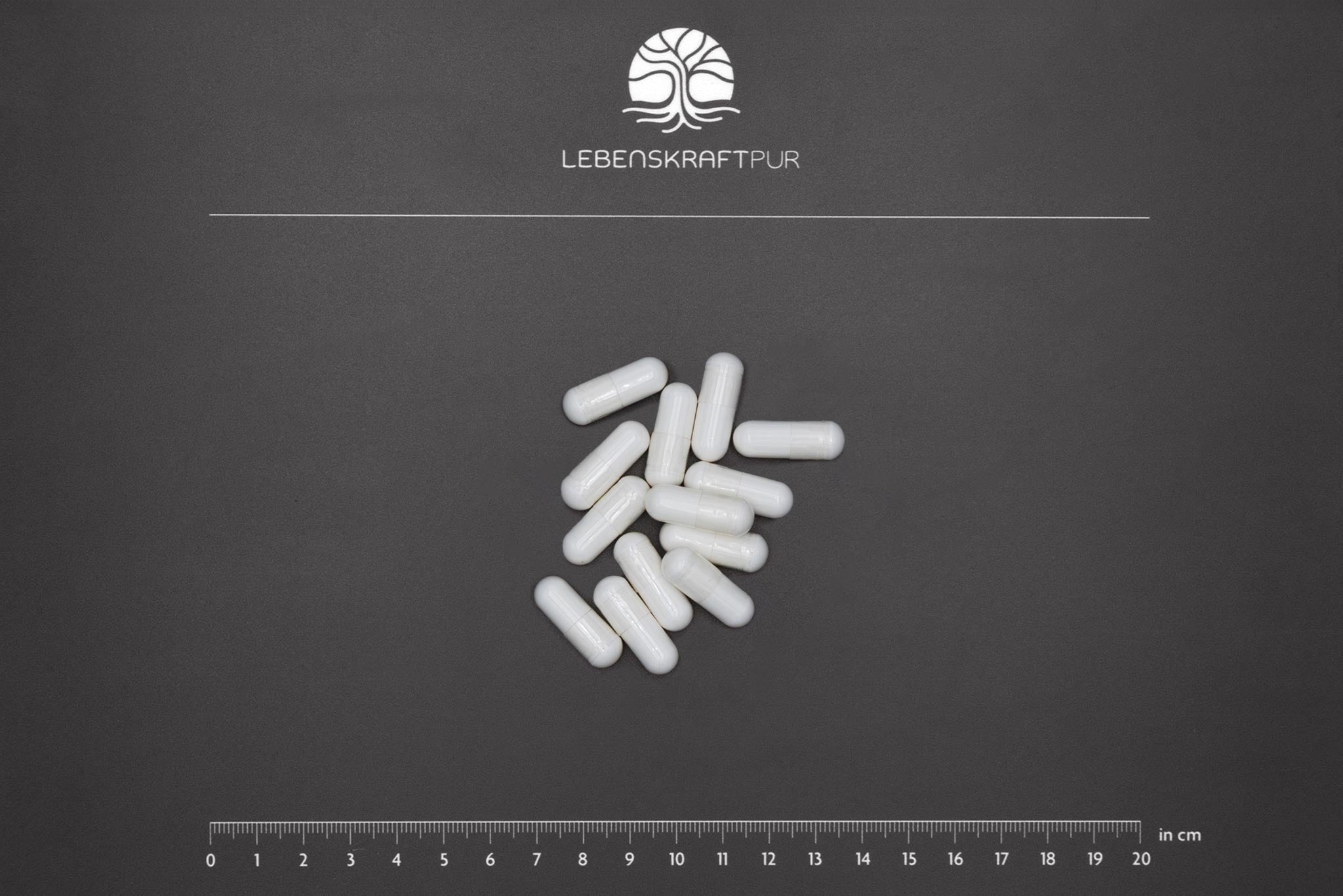 LebenskraftPur Magnesiumcitrat Kapseln 90 Kapseln 300 mg