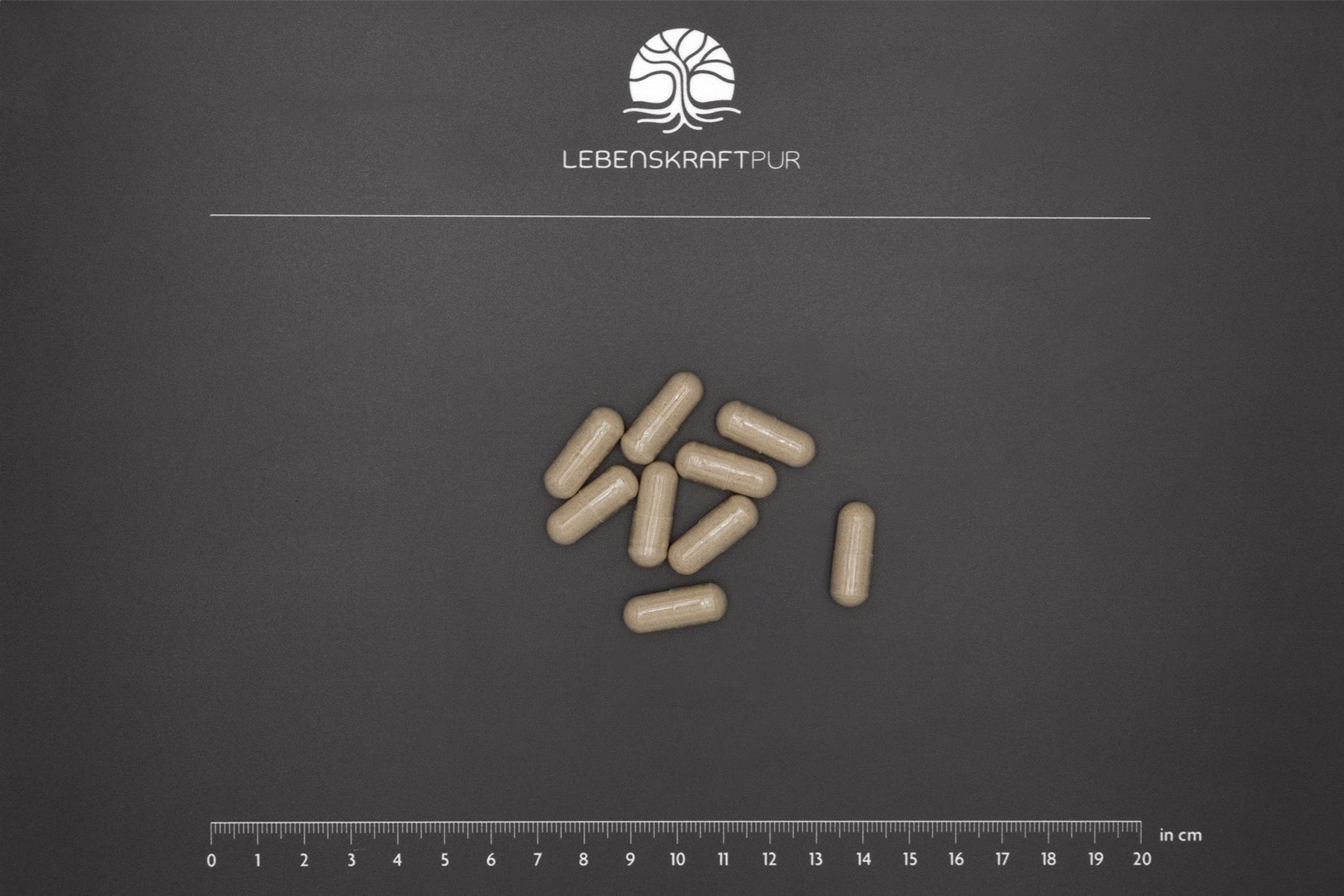 LebenskraftPur Bio Leber Kapseln Rind gefriergetrocknet