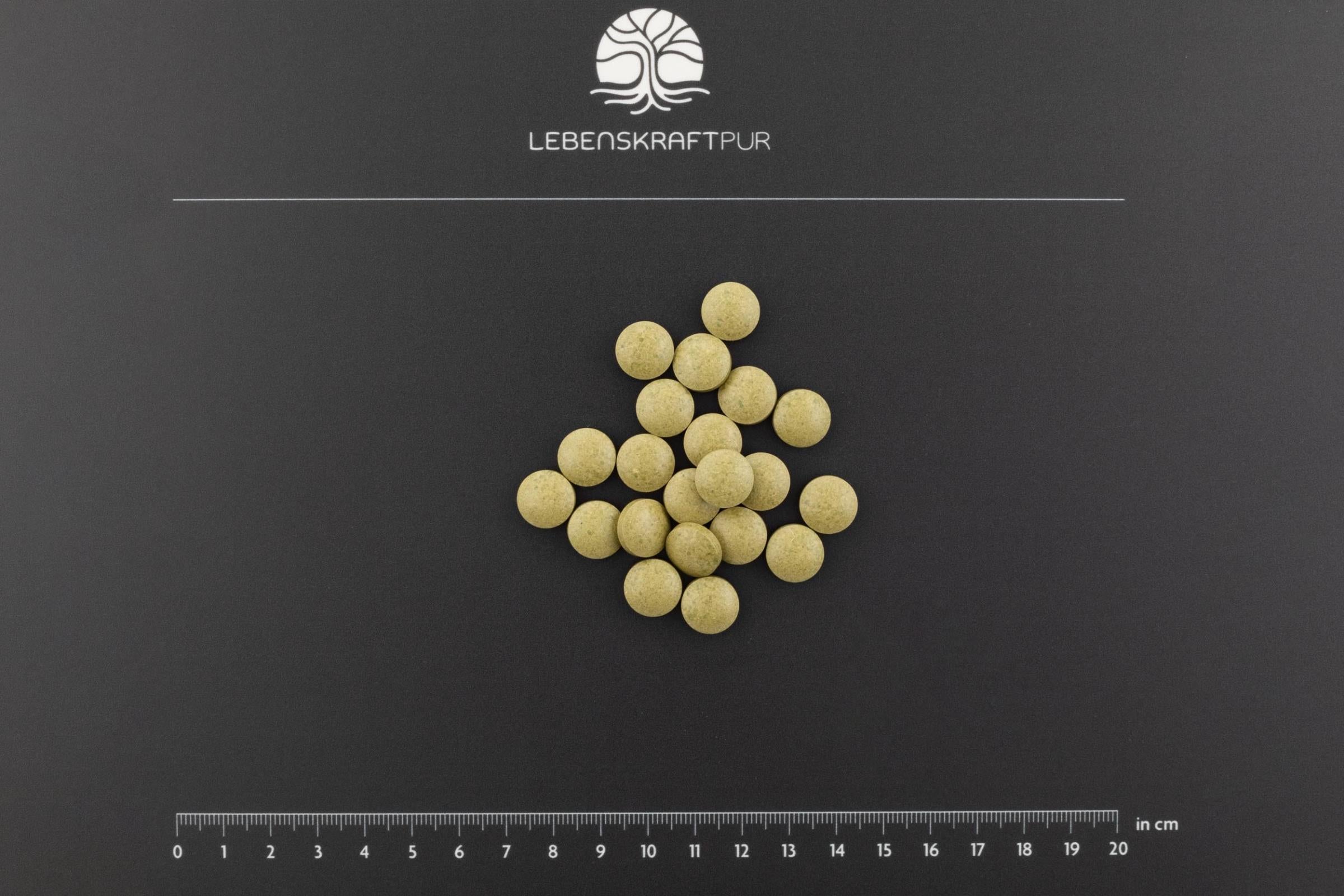 LebenskraftPur Kräuterkraft Tabletten Zink Immunsystem