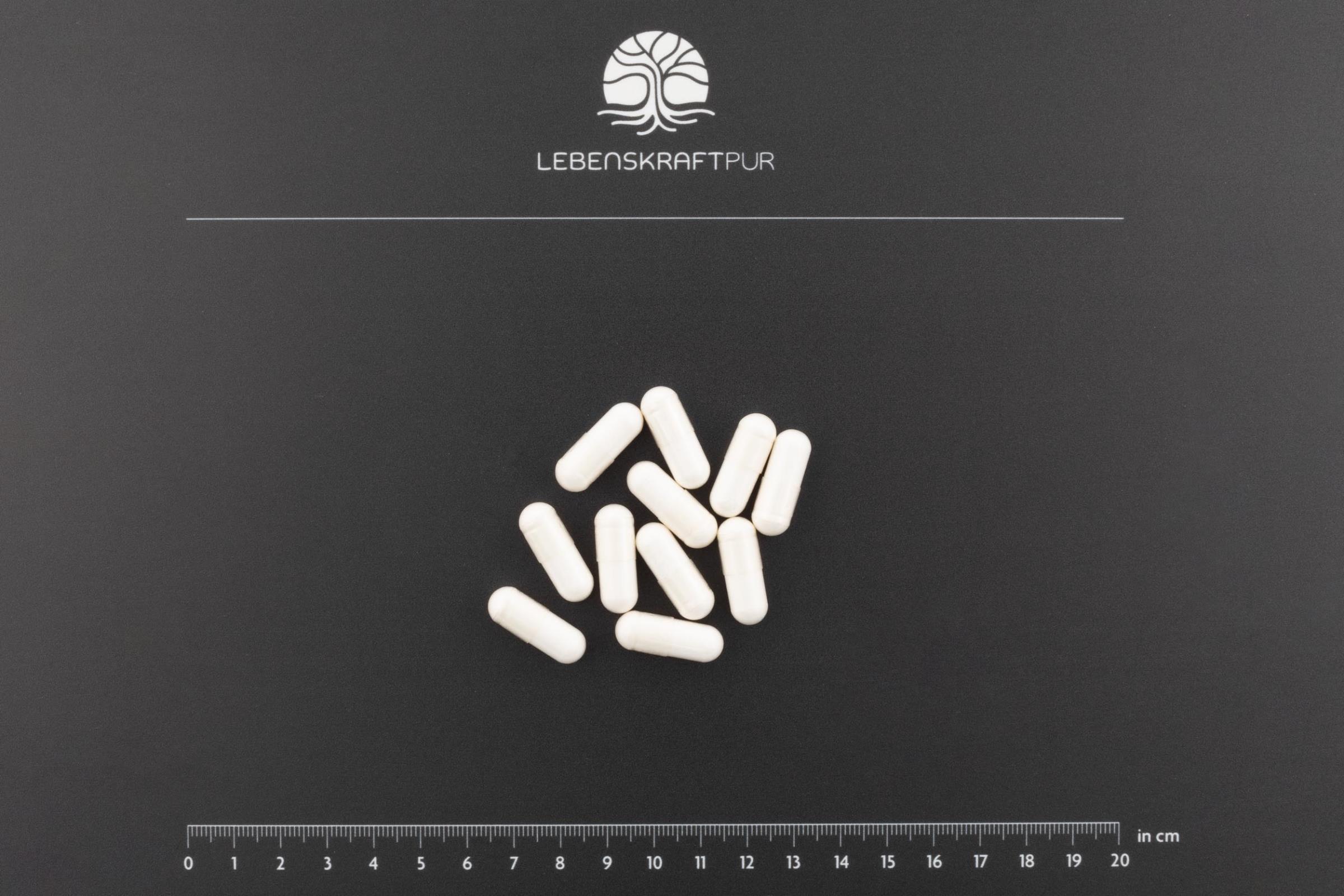 LebenskraftPur Magnesium Sieben Kapseln 60 Kapseln 7-fach