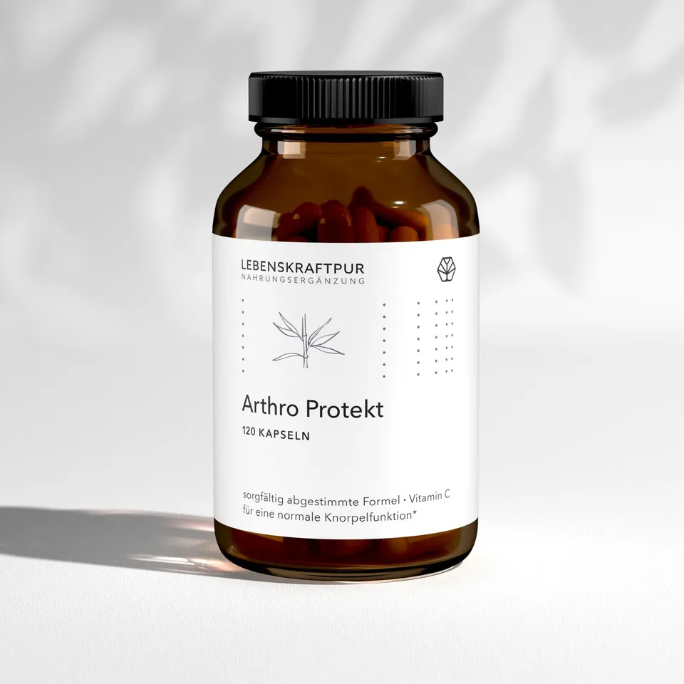 LebenskraftPur Arthro Protekt Kapseln Gelenk mit Hyaluron
