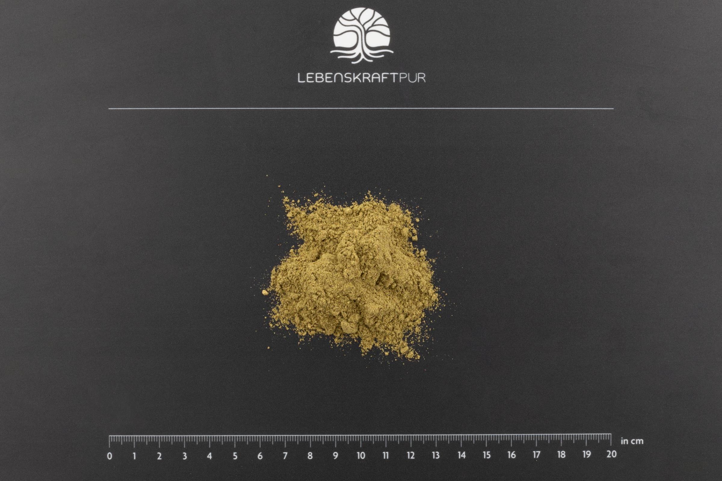 LebenskraftPur Bio Basis Plus Pulver 40 Zutaten vegan