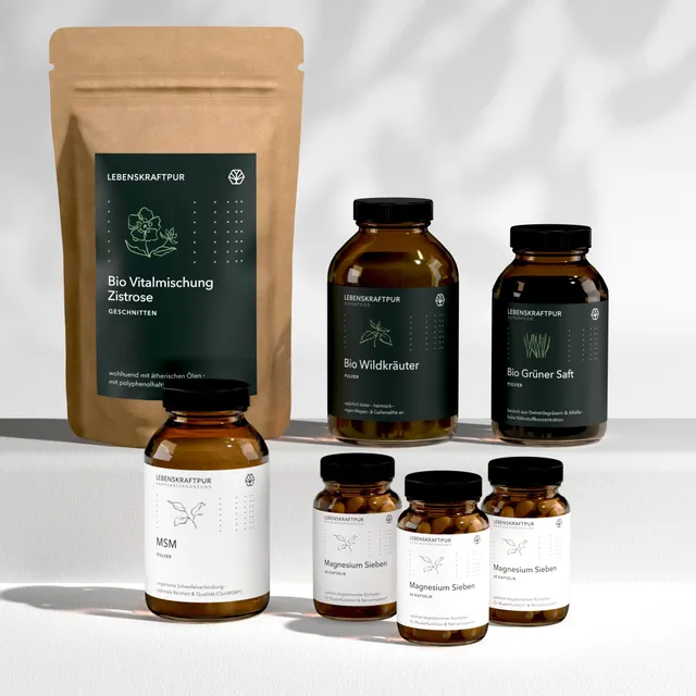 LebenskraftPur Bio360 12 Säulen Entgiftung Box Kurs-Set