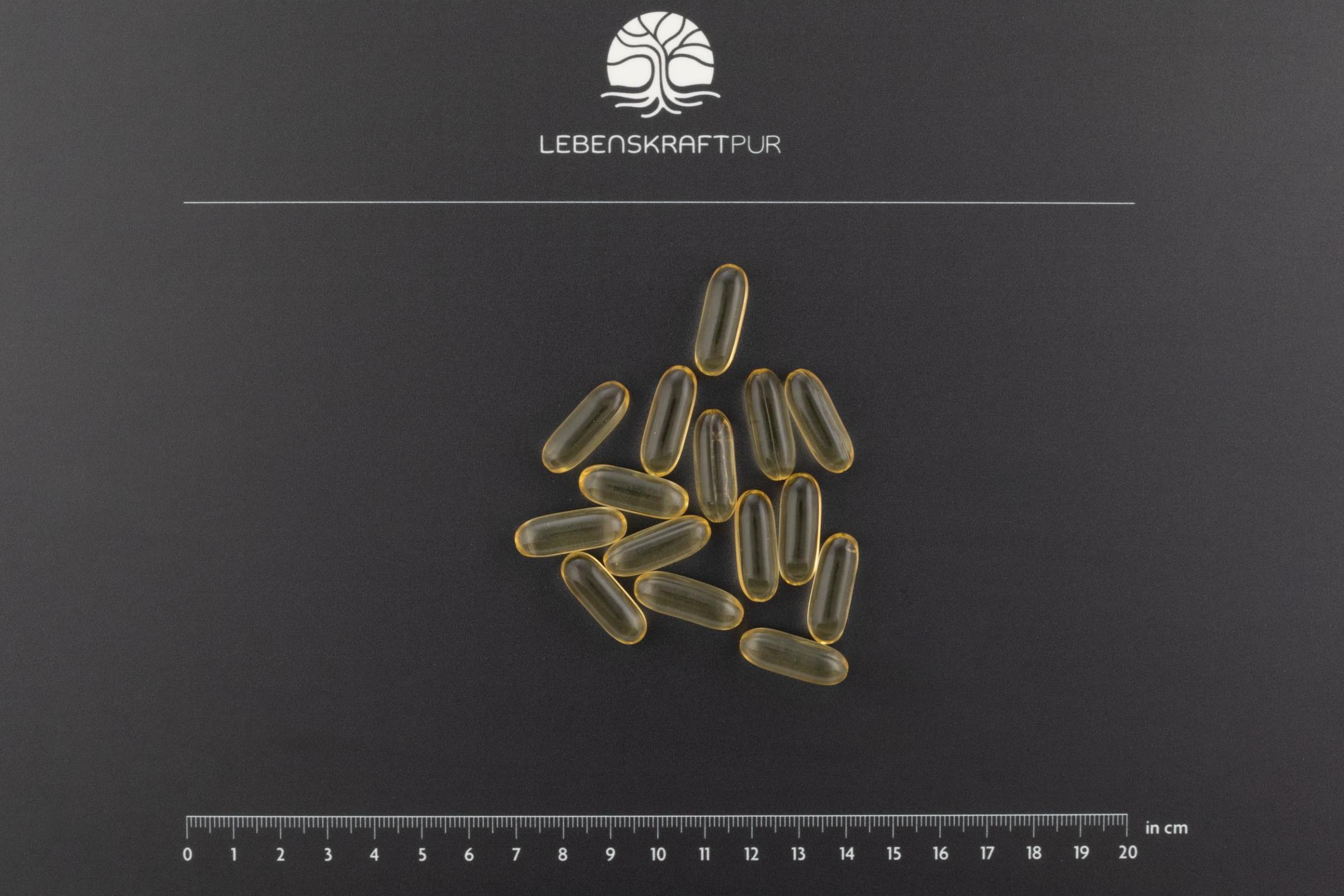 LebenskraftPur Omega 3 Vegan Kapseln 60 Kapseln Algenöl