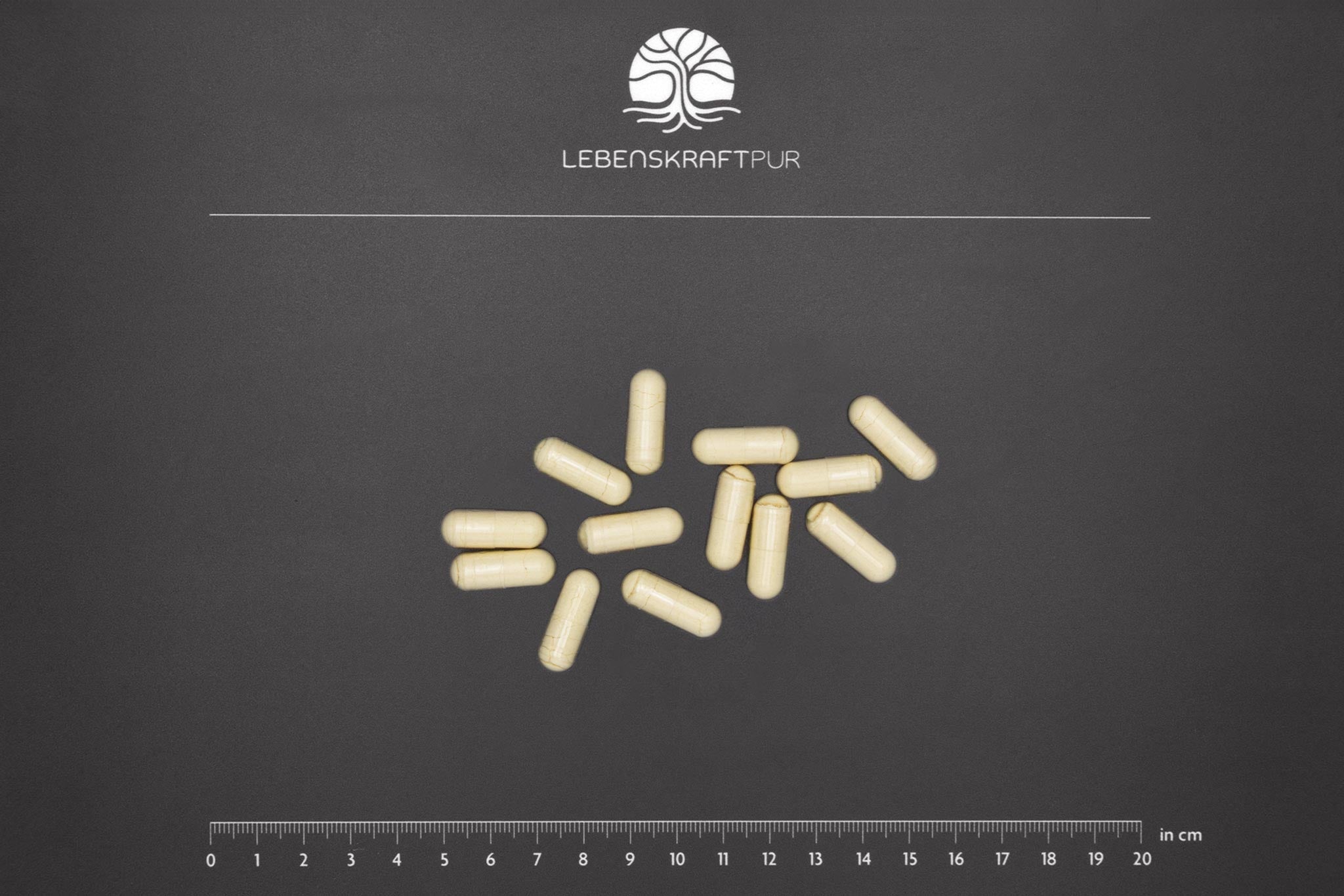 LebenskraftPur Bio Kolostrum Fermentiert Kapseln Weide IgG