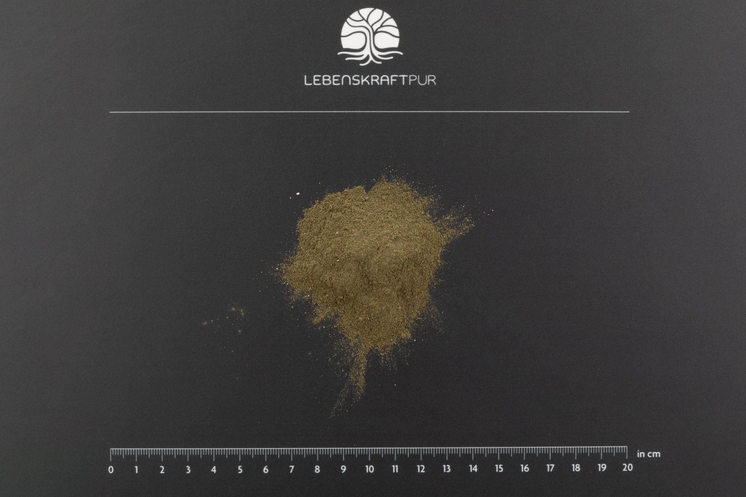 LebenskraftPur Bio Zahnvital Pulver Vitamin C Zähne
